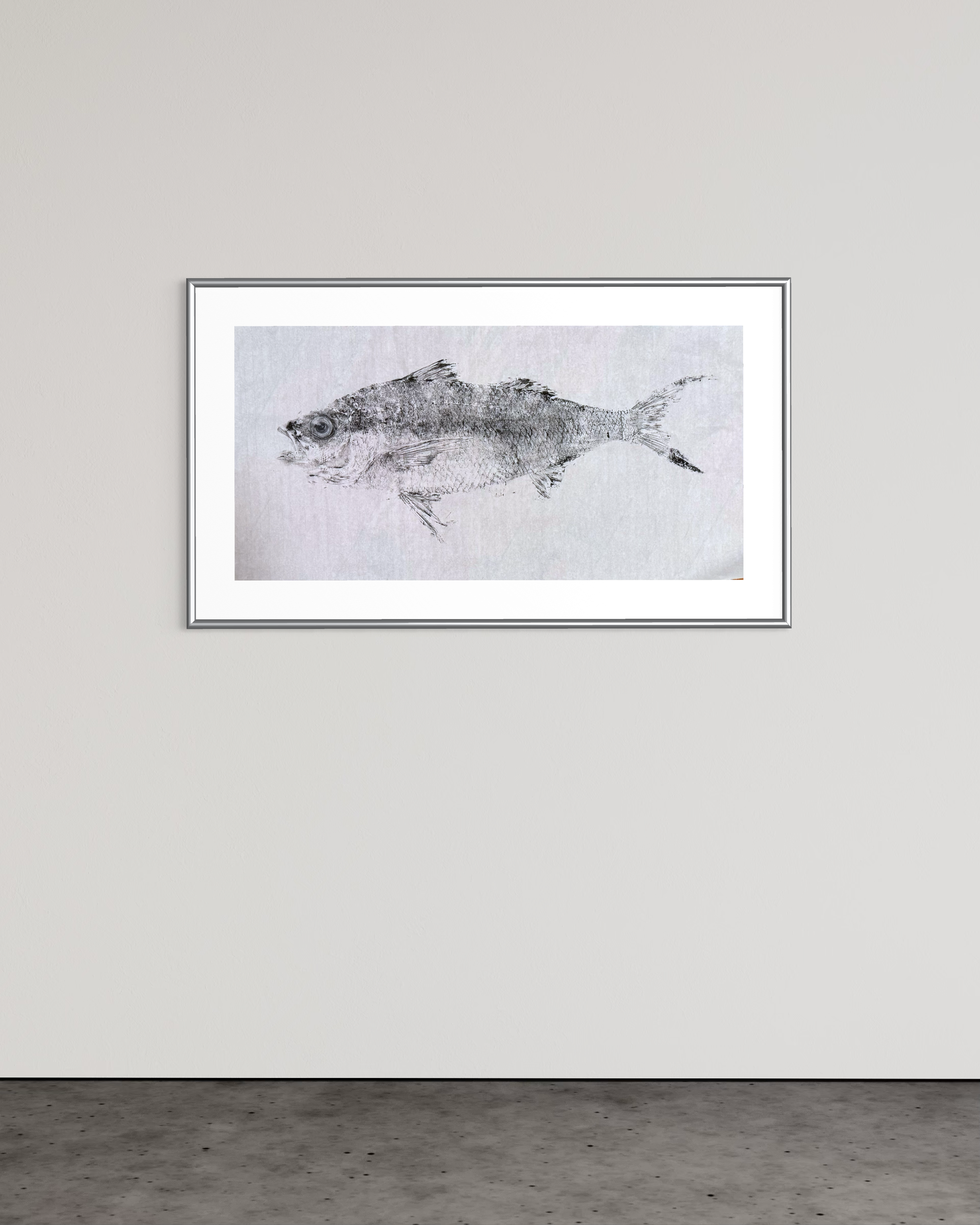 Original Queen Snapper Gyotaku Gallery.PNG