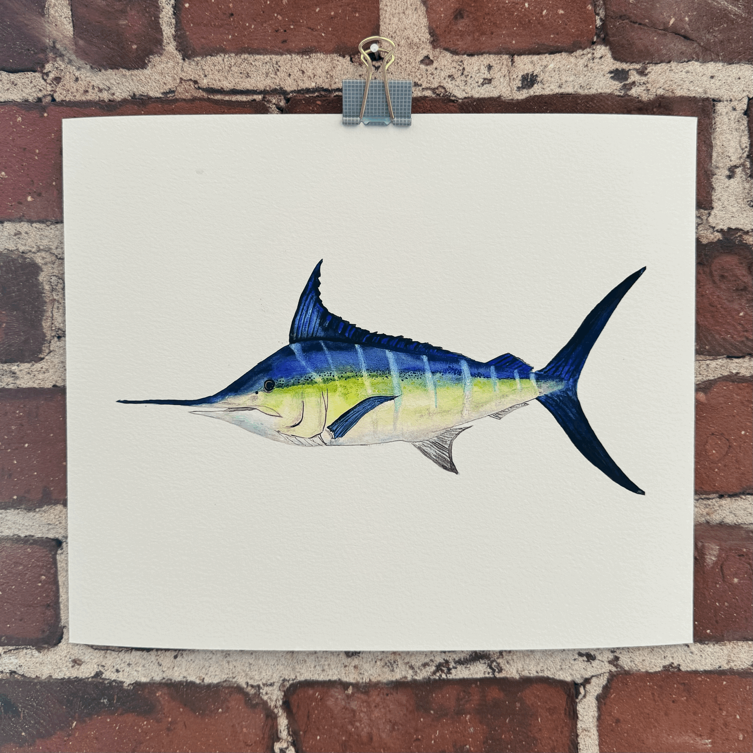 Giclée Print -Marlin