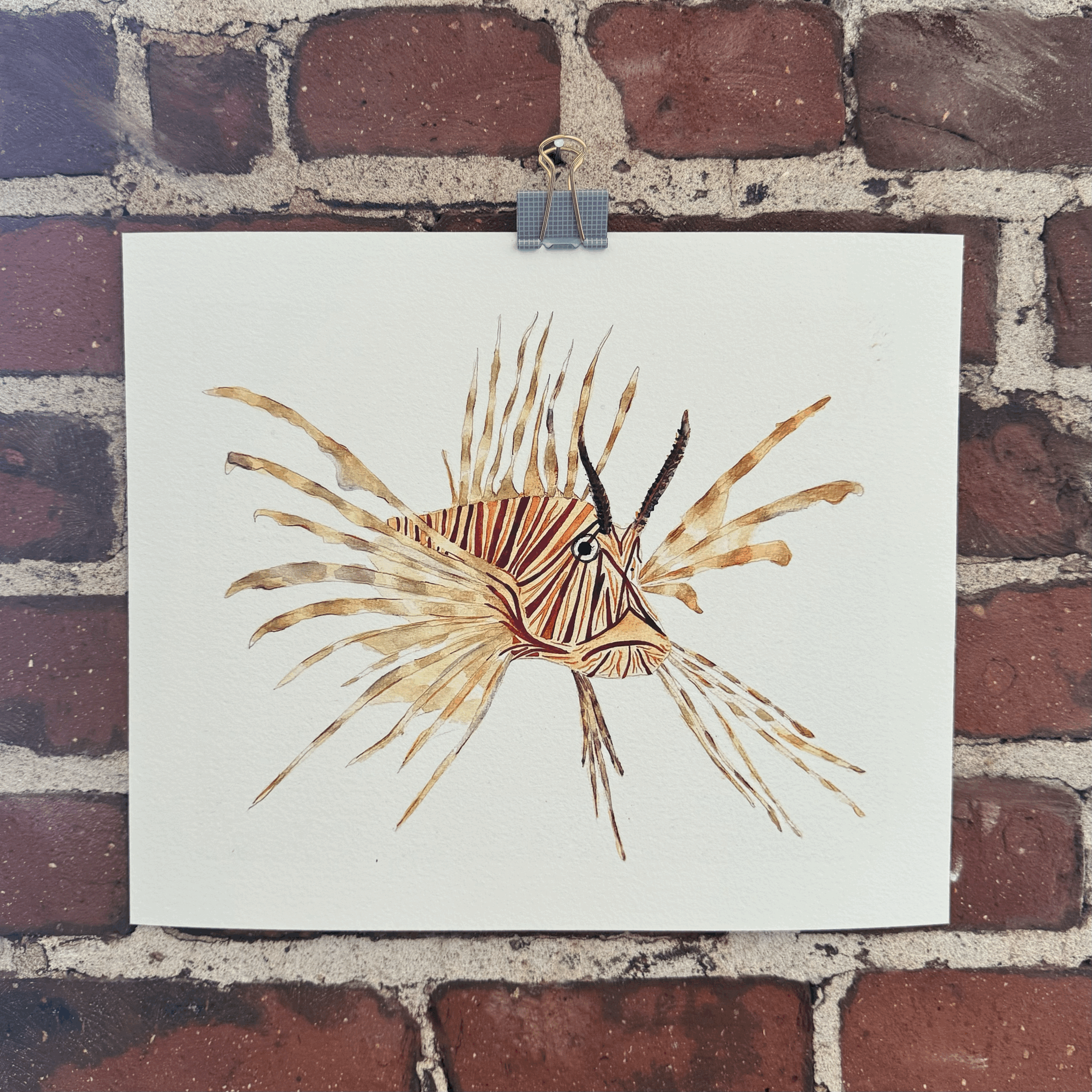 Giclée Print - Lionfish