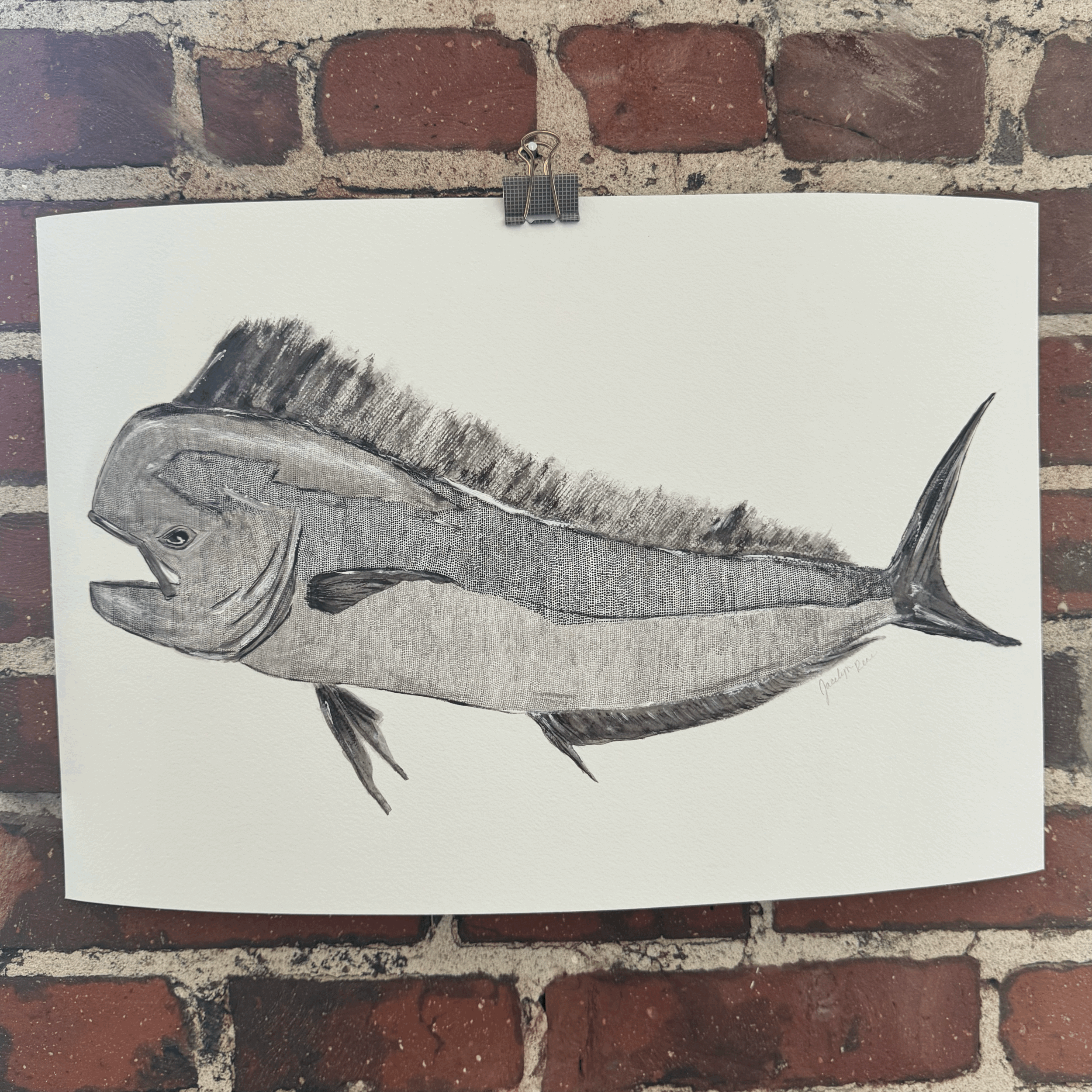 Giclée Print - Mahi Mahi