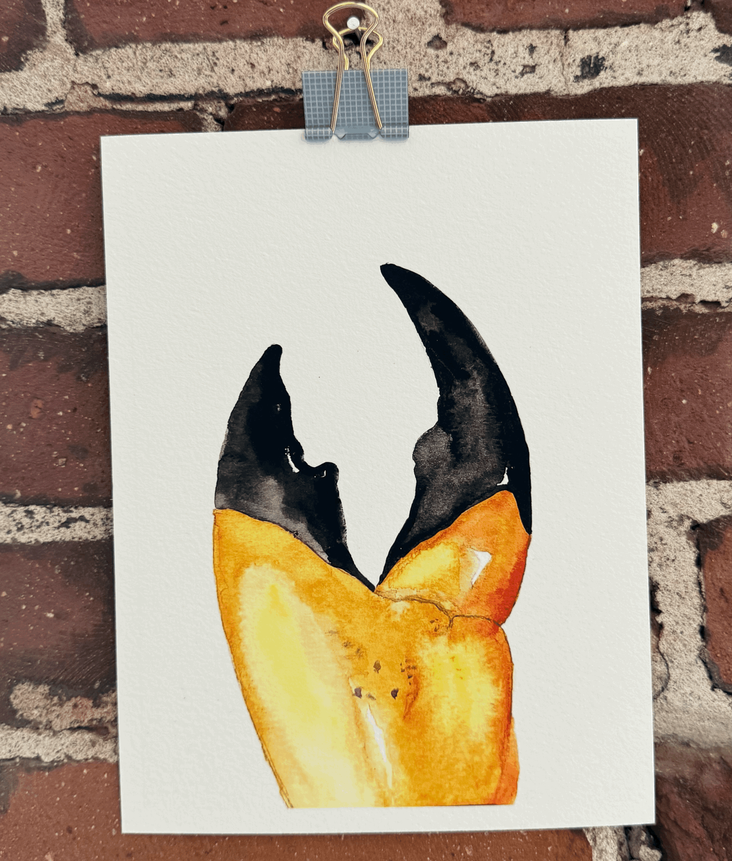 Giclée Print -Stone Crab Claw