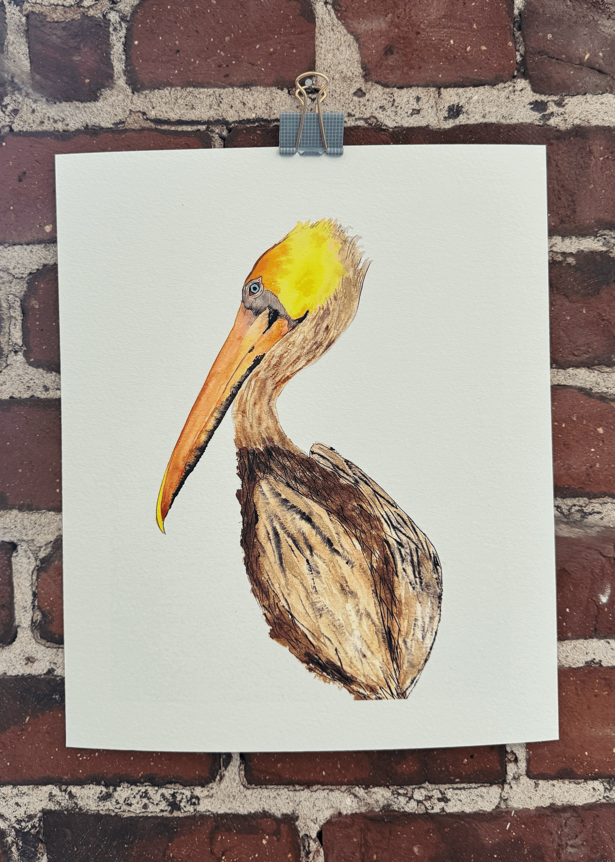 Giclée Print - St Pete Pelican