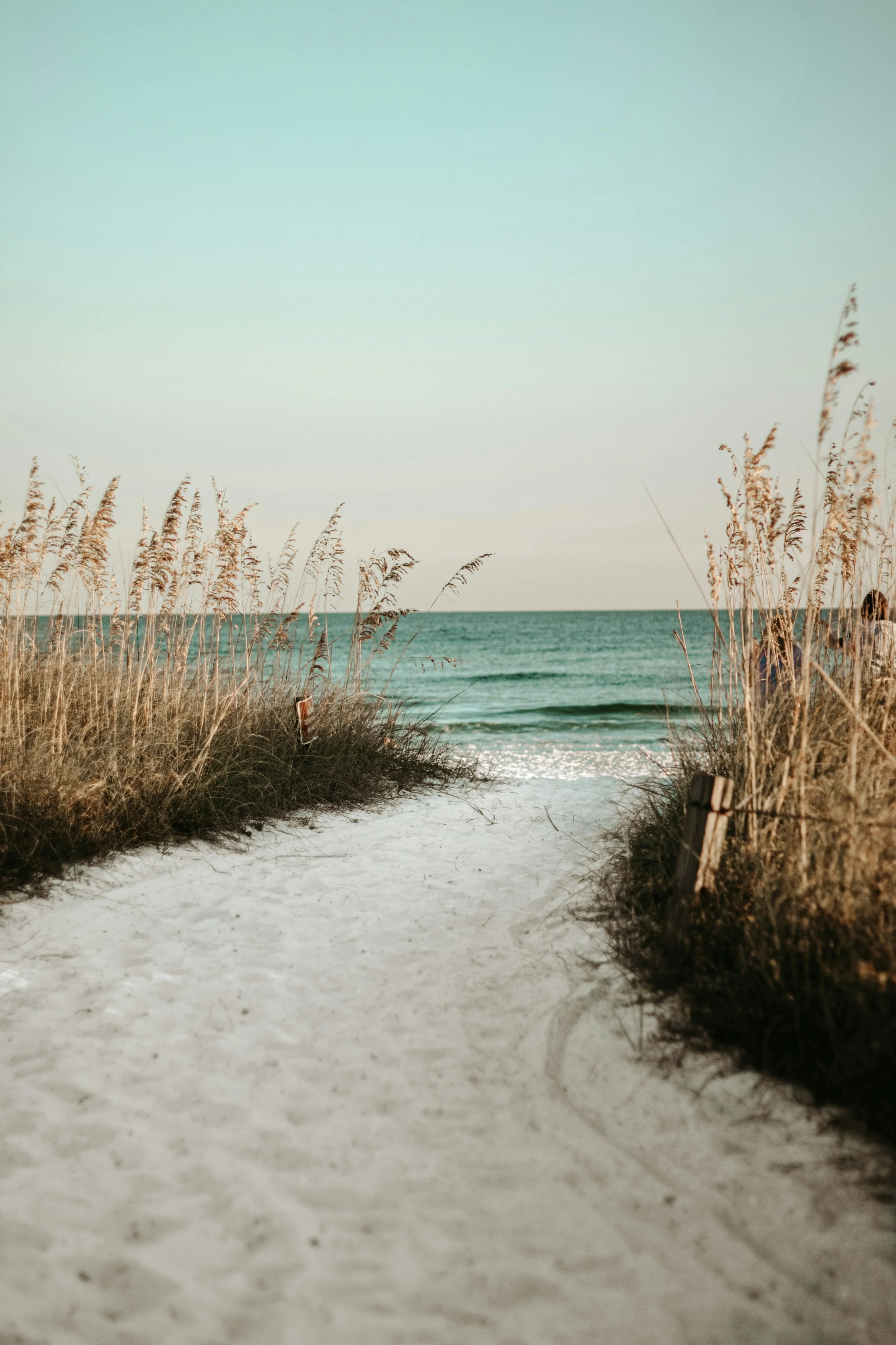 Sand pathway through beach grass leading to the ocean with gentle waves and a clear sky in the background.
