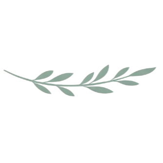 A simple, minimalist illustration of a sprig with elongated leaves, shown in a light grayish-green color, set against a white background.