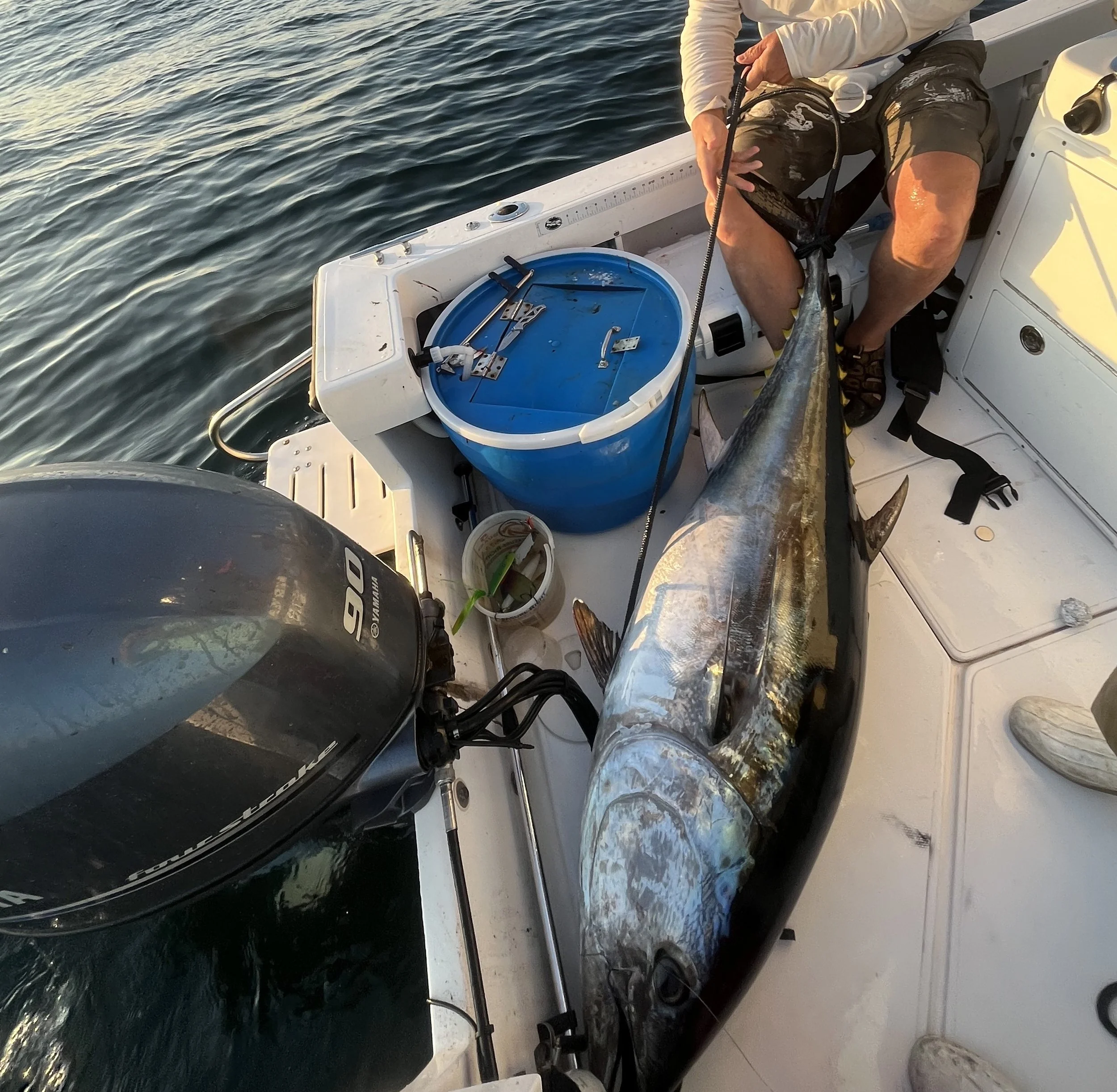 IMG_5044 - crop tuna.JPG