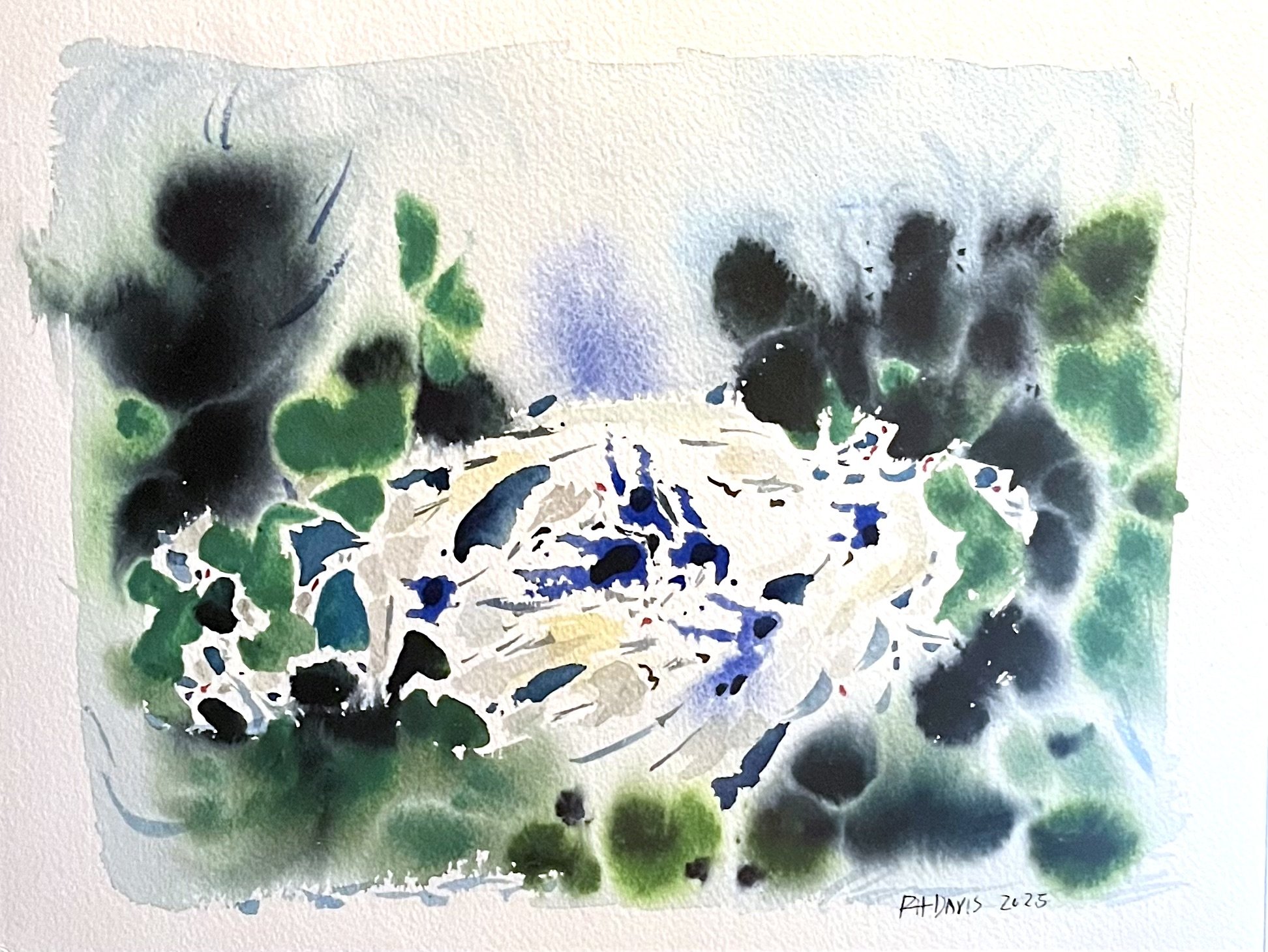 Unicorn, 2025, 10 x 8"