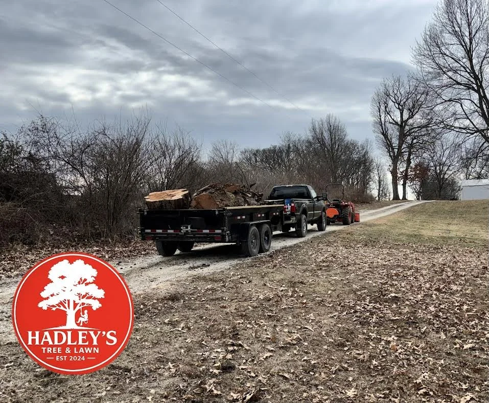 A pickup truck towing a trailer loaded with a fallen tree trunk and branches, driving down a rural gravel road with leafless trees and cloudy sky.