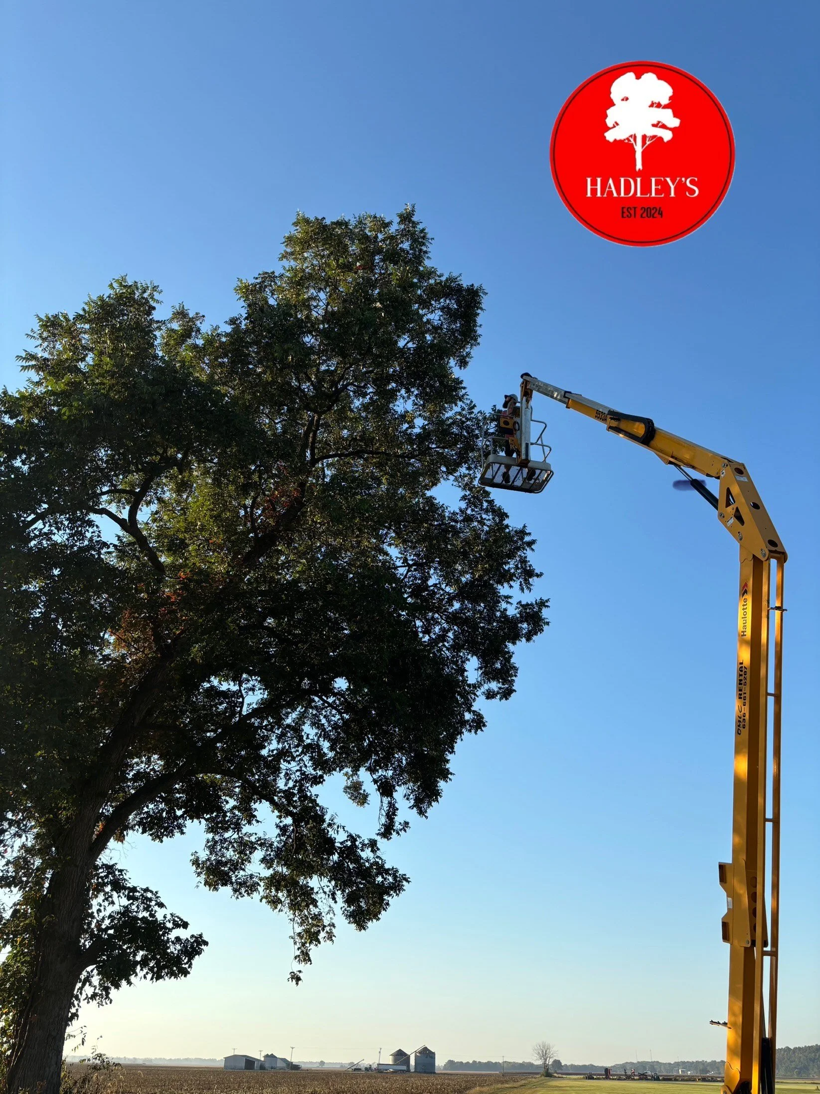 Hadley's Lawn and Tree recovering a stuck drone in Winfield, MO.