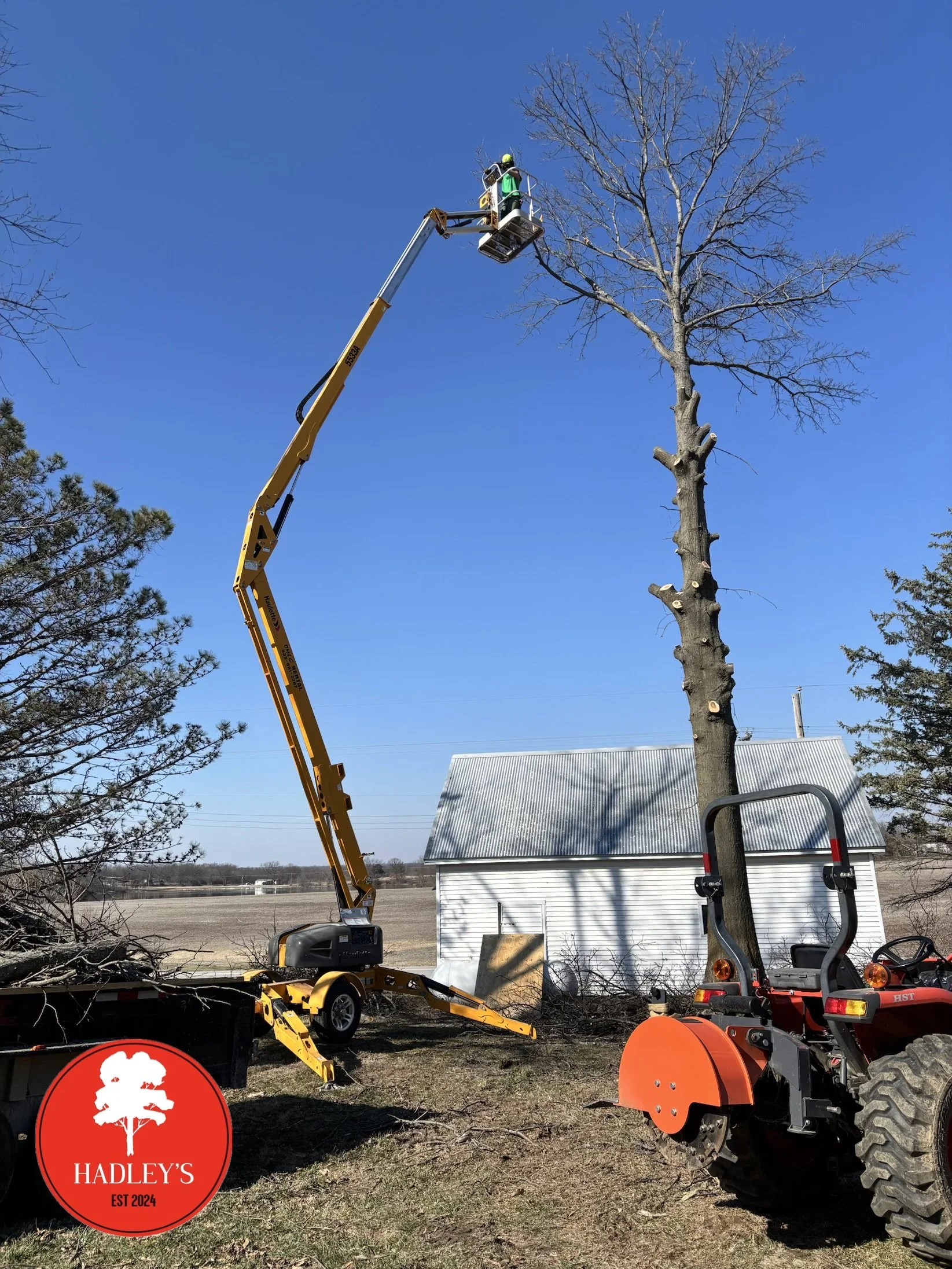 Worker in a lift trimming a tall, leafless tree with a chainsaw while a tractor with a stump grinder attachment is nearby.