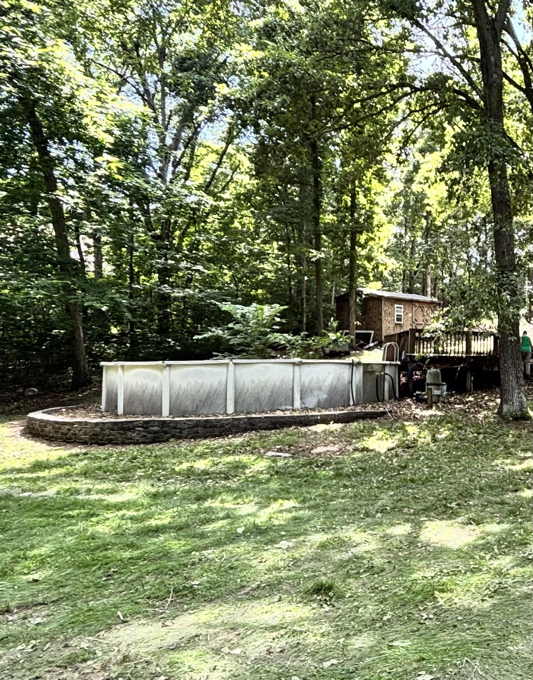 A backyard with a small above-ground pool and a wooden shed among trees and greenery.