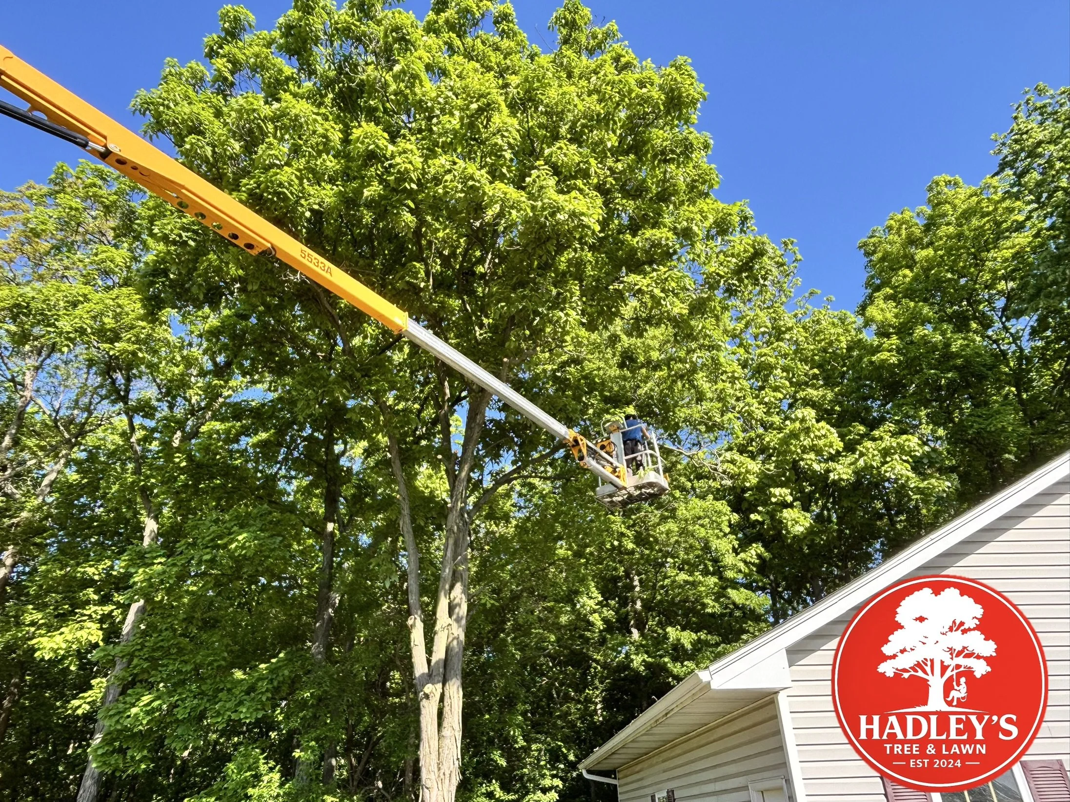 Tree removal utilizing a lift near Troy, MO