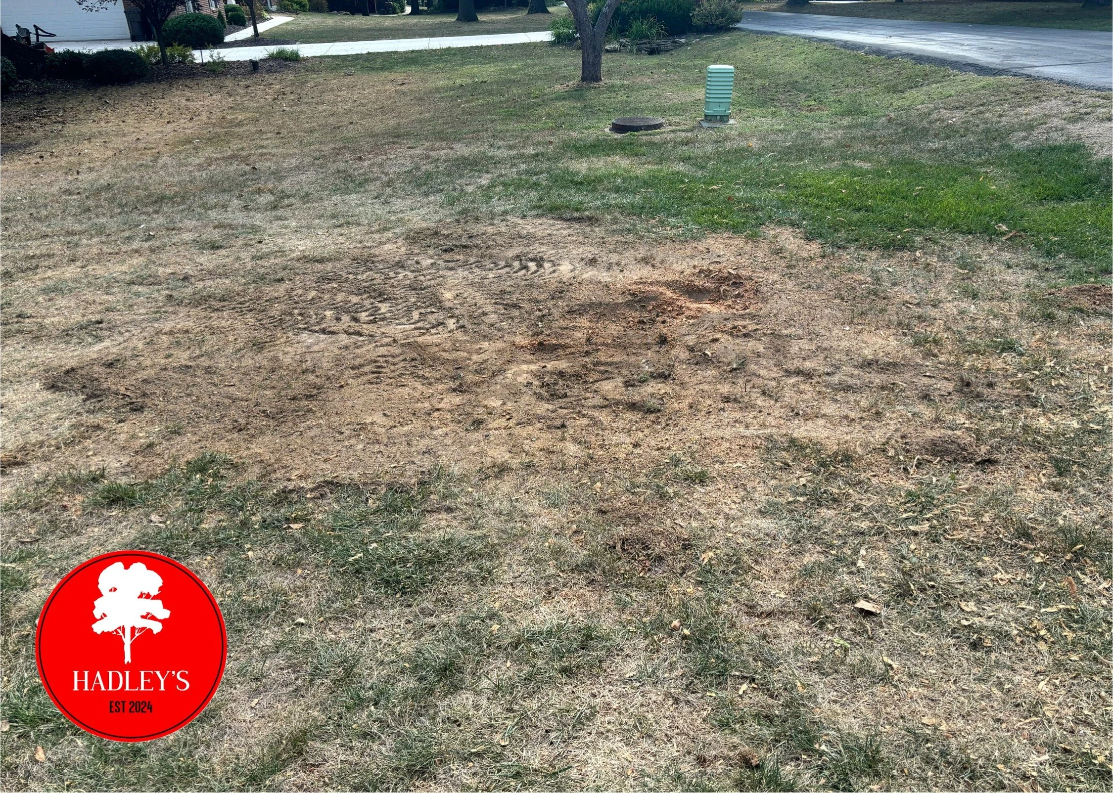 A lawn with patches of bare dirt and tire marks, a tree, and some spray-painted circles on the ground, with a house and street in the background. A red logo with a tree and the text 'HADLEY'S EST 2024' is in the lower-left corner.