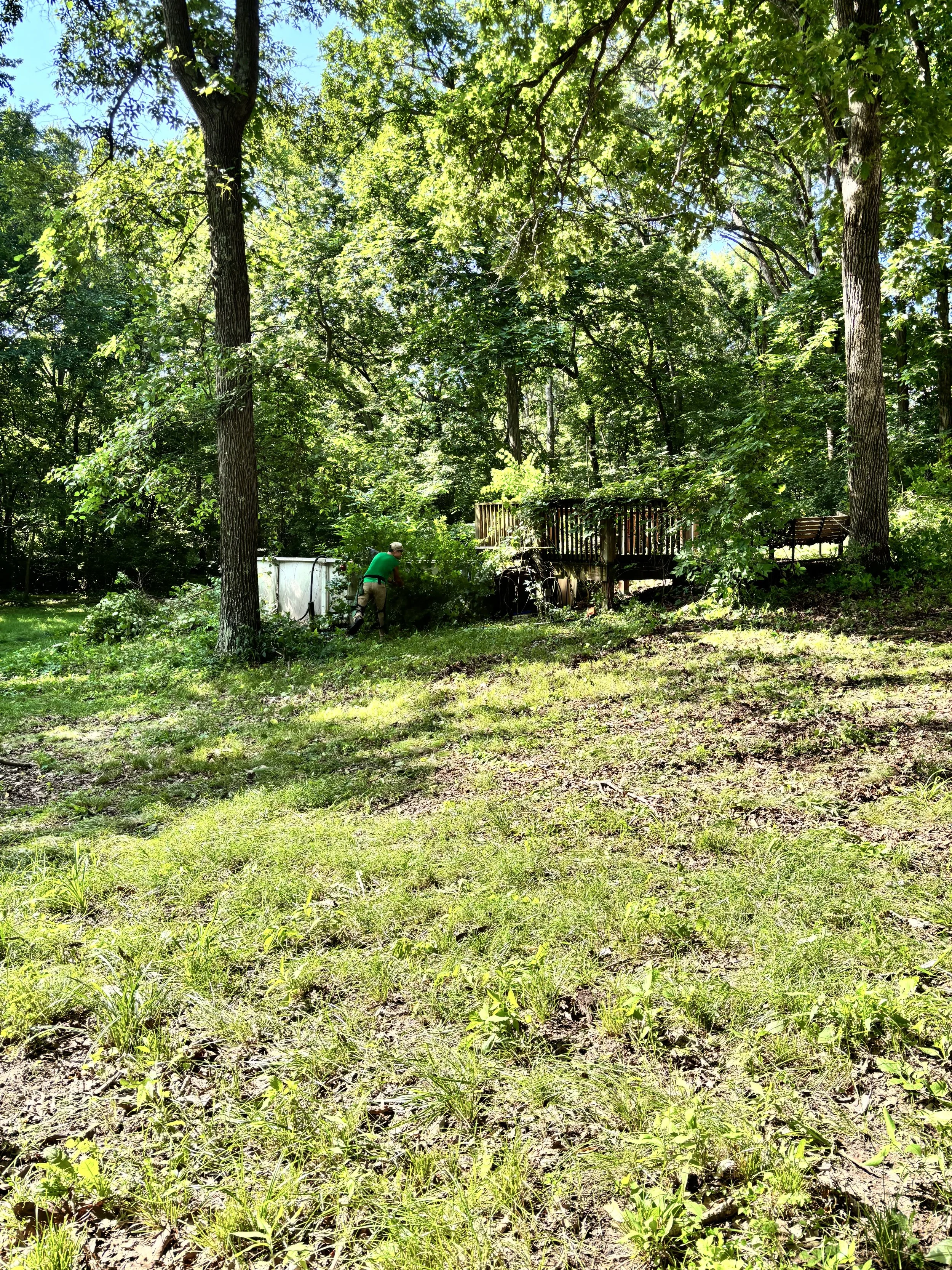 A person in a green shirt and tan shorts mowing the lawn in a lush, green backyard surrounded by tall trees and dense foliage.