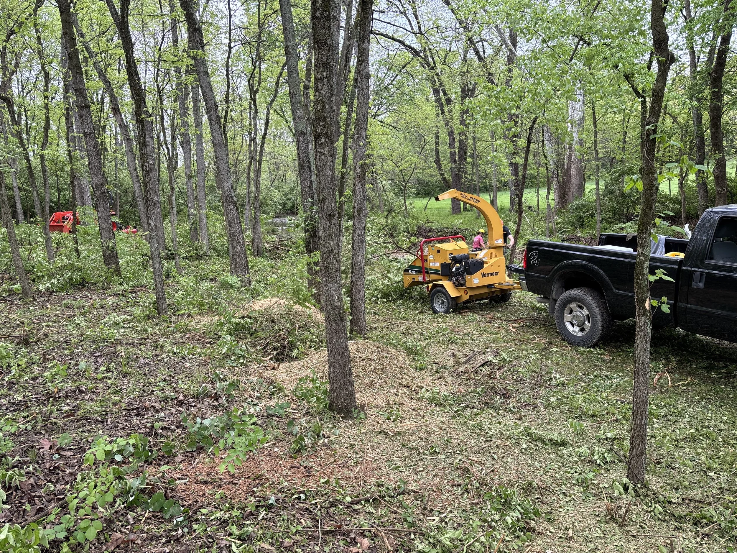A black pickup truck parked in a wooded area with trees and green foliage, attaching a yellow wood chipper to the truck.
