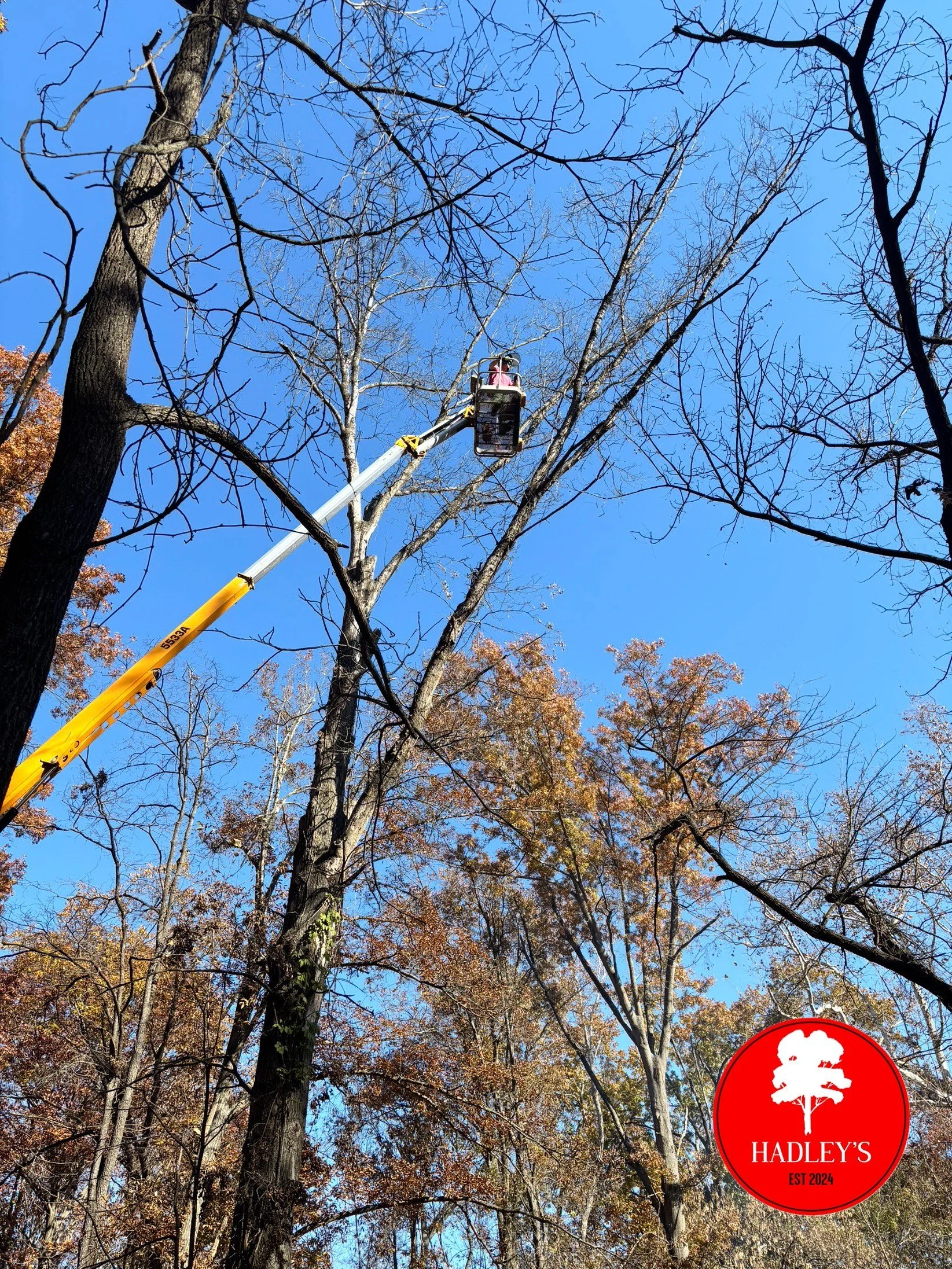 Hadley's Tree and Lawn - lift - tree trimming - Lincoln County, MO