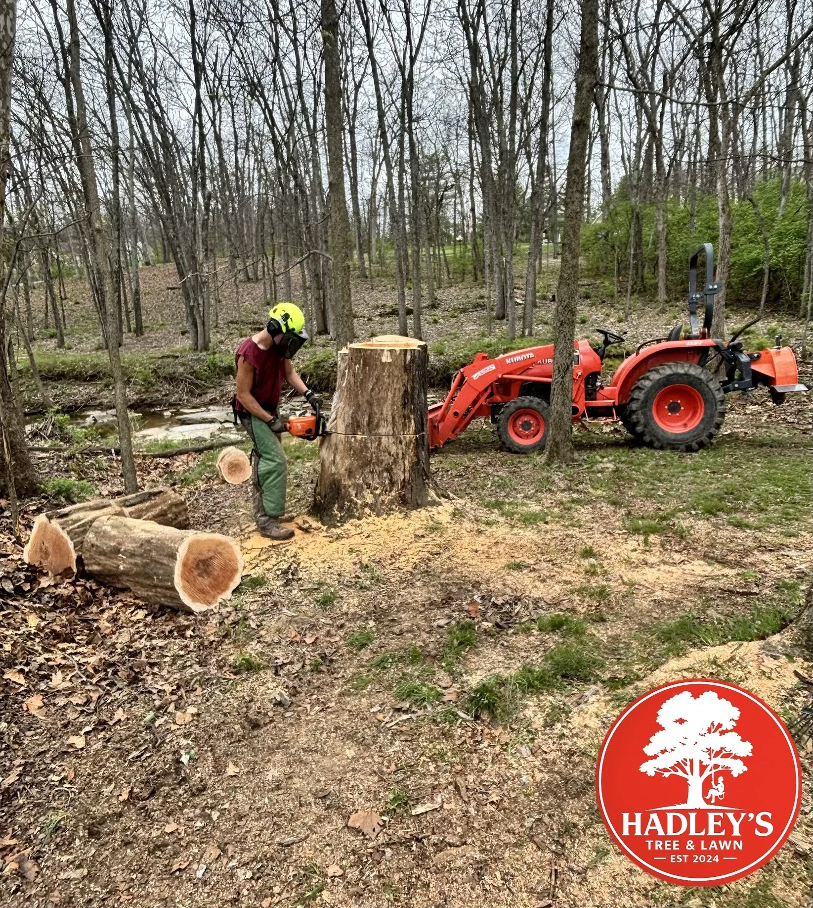 Cutting large stump Winfield MO