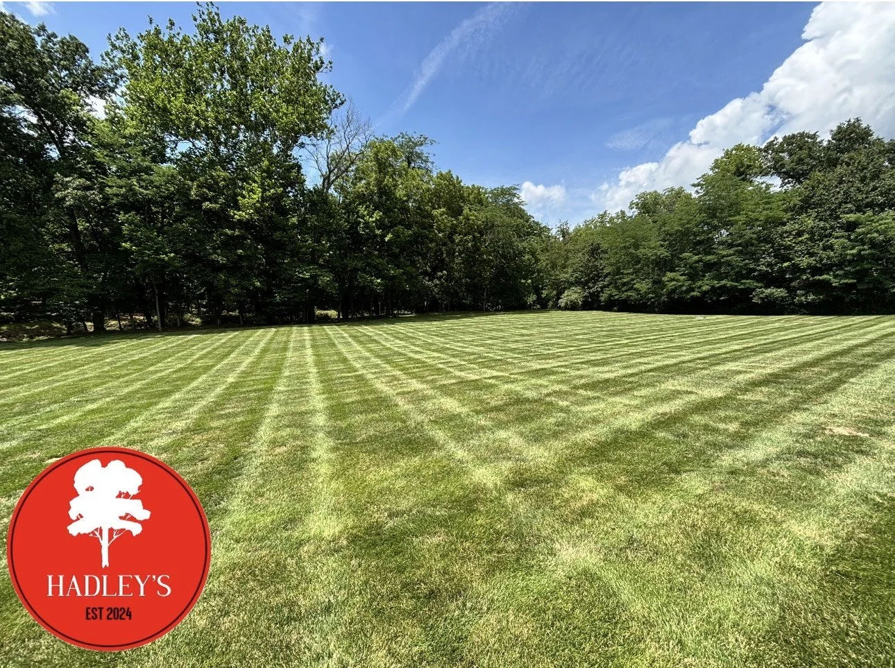 Hadley's Tree & Lawn - Striped grass - Lincoln County, MO