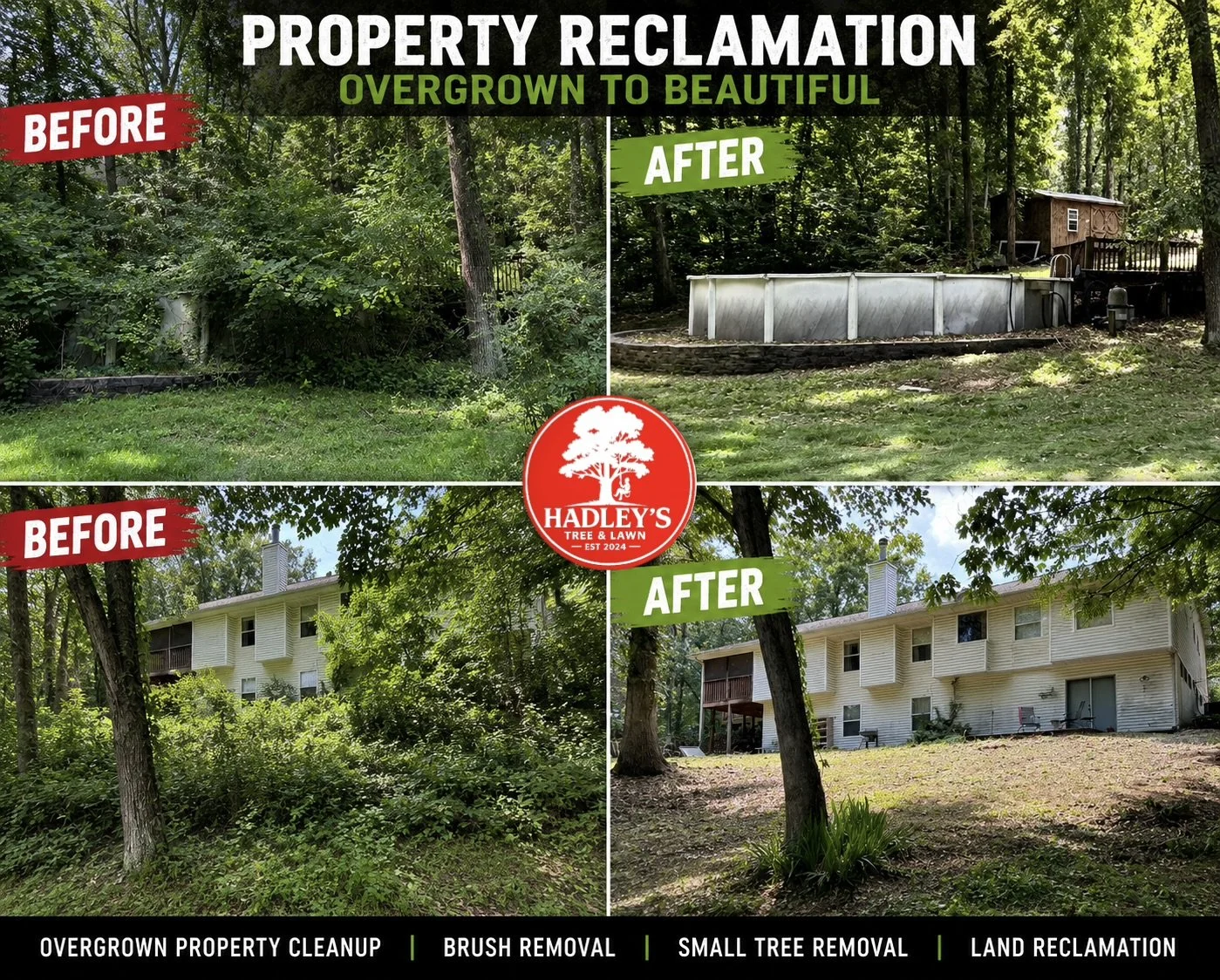 Before and after images of property reclaims showing overgrown yard cleaned up and landscaping improvements. Top left: overgrown foliage before cleanup, top right: cleaned backyard with pool, bottom left: dense overgrowth before clearing, bottom right: cleared yard with new grass and landscaping.