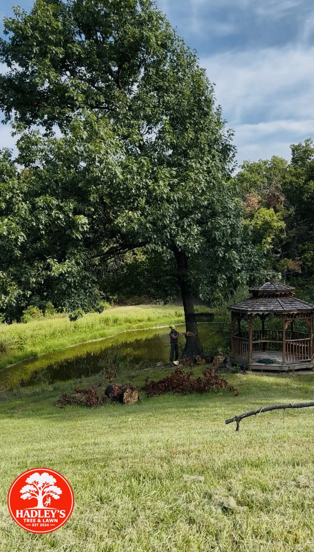 Oak tree removal beside a pond and gazebo in Elsberry, MO