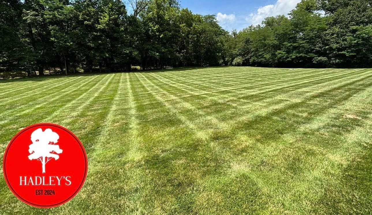 Lawn Maintenance Foley MO