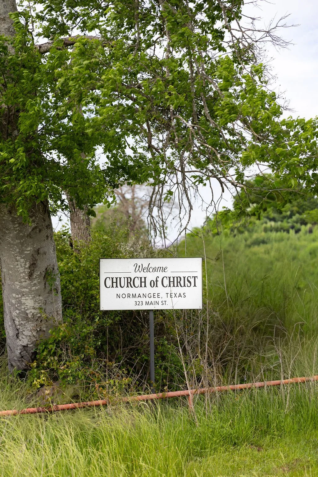 A white sign reads, 'Welcome Church of Christ, Normangee, Texas, 323 Main St.', directing passerby's to the nearby congregation of Christians. The sign is surrounded by green grass and foliage, with some tree branches and leaves overhead.
