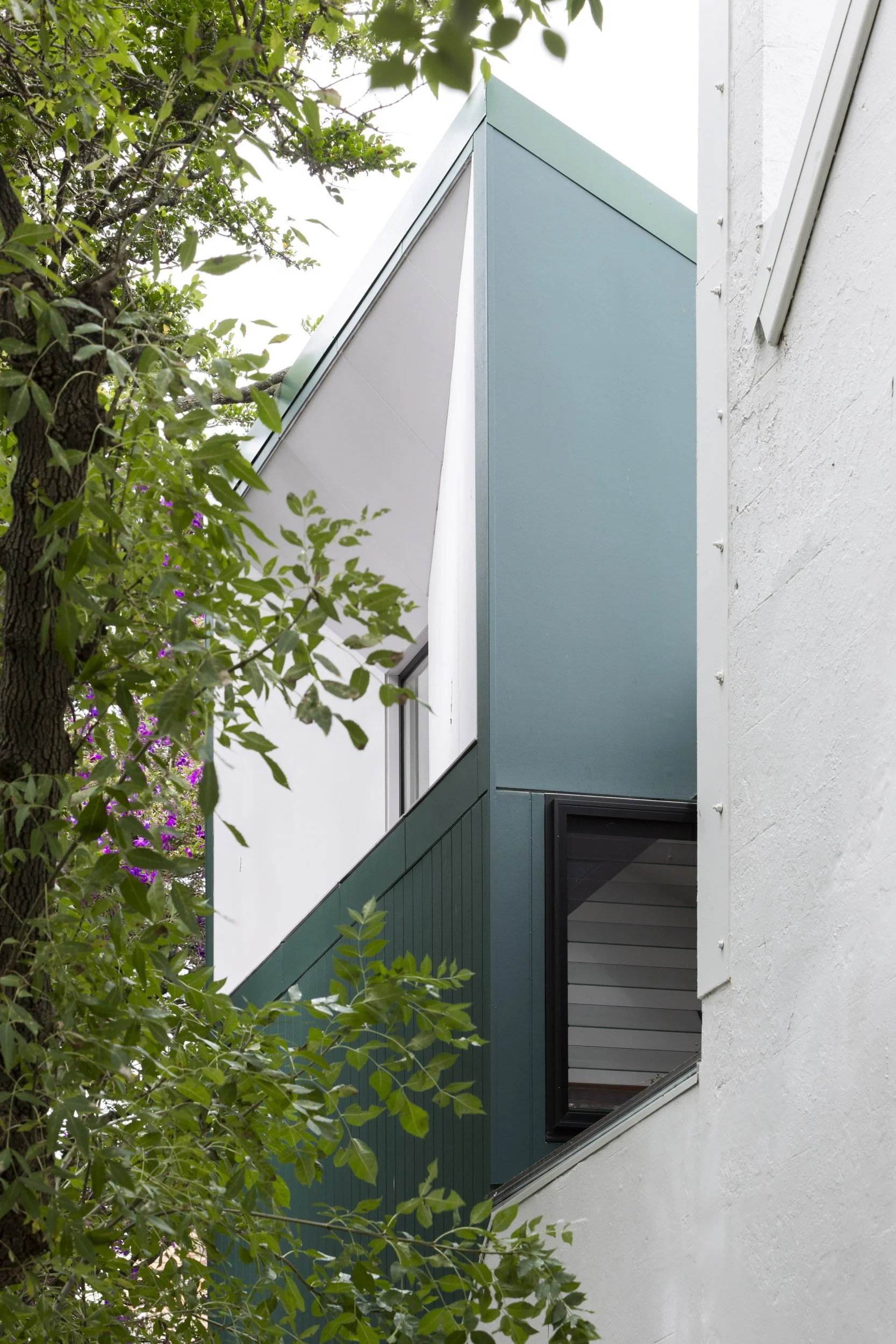Camperdown Terrace | Black and Hellyer