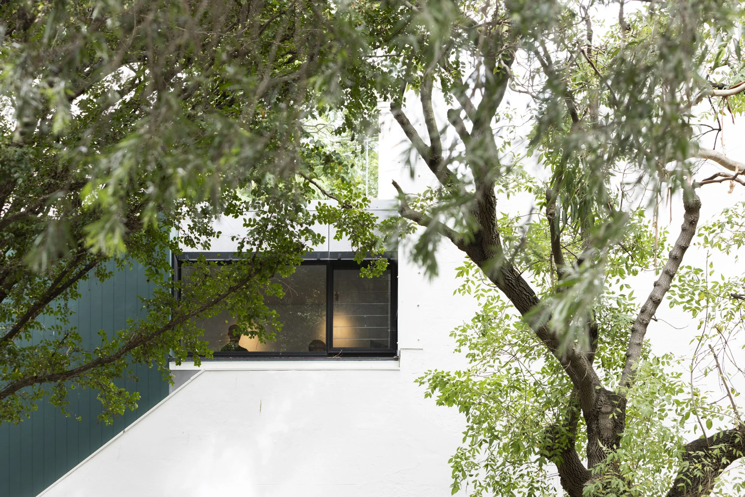 LJW_camperdown_019.jpg