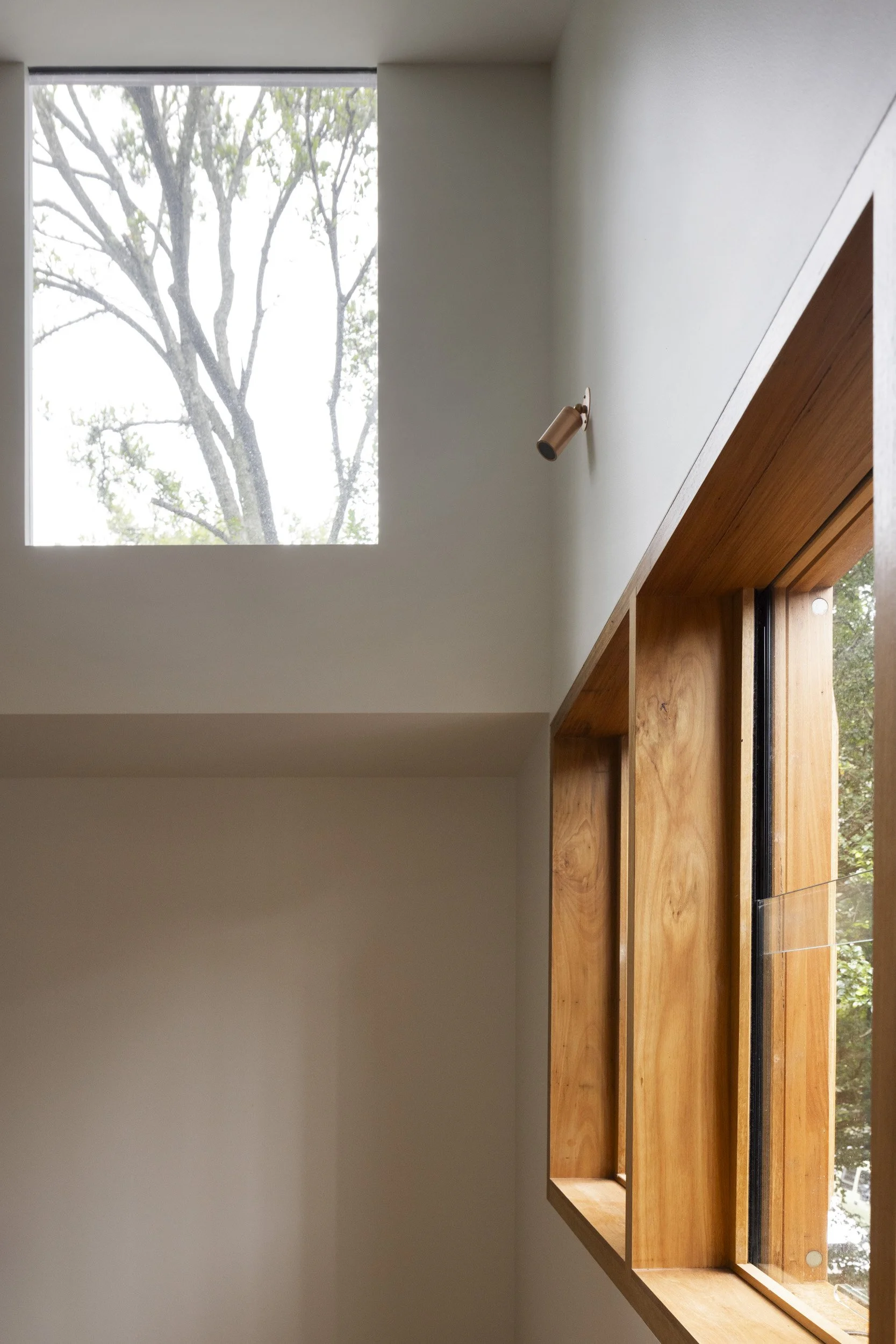 LJW_camperdown_051.jpg
