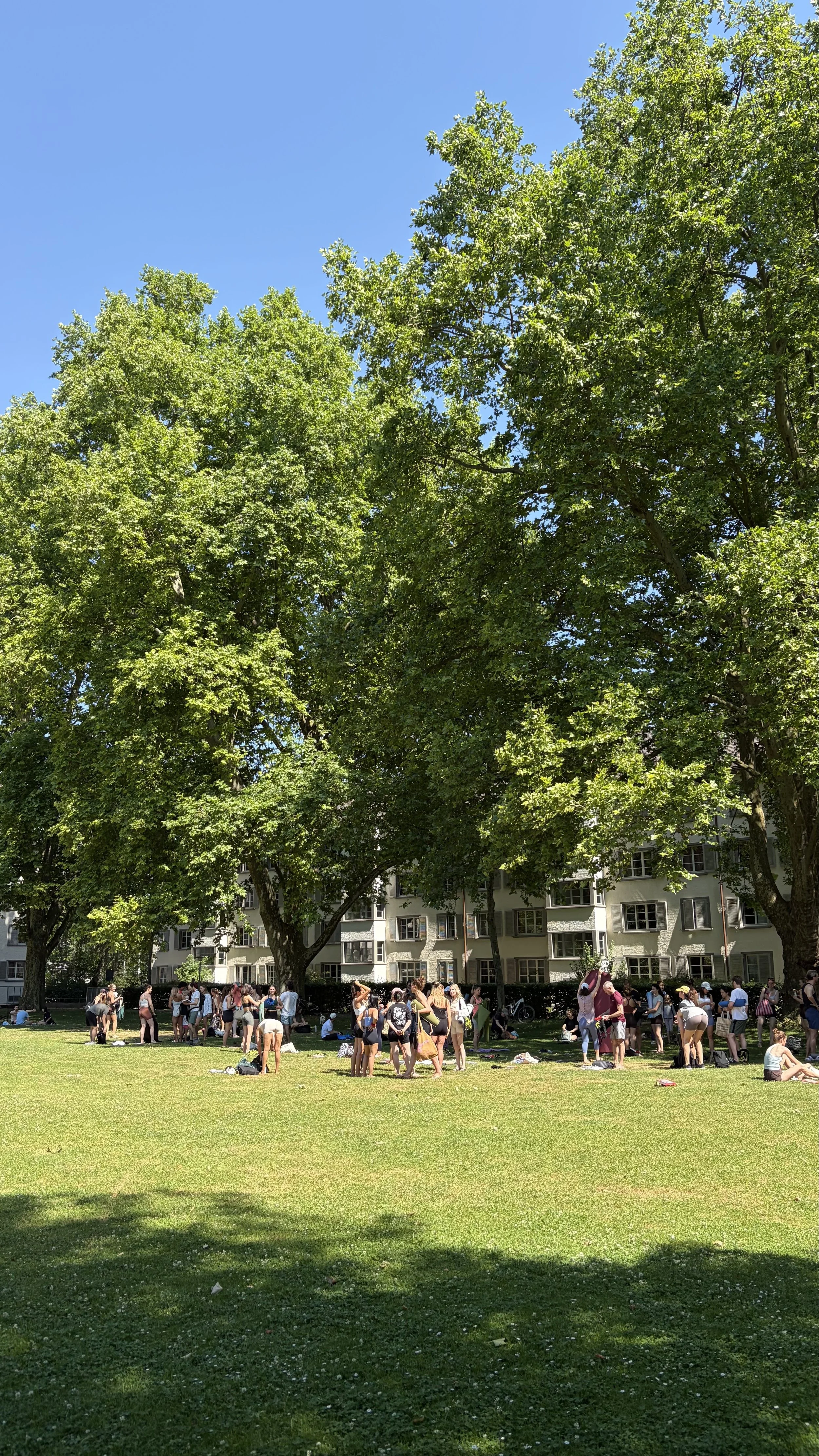showing yoga people in the park