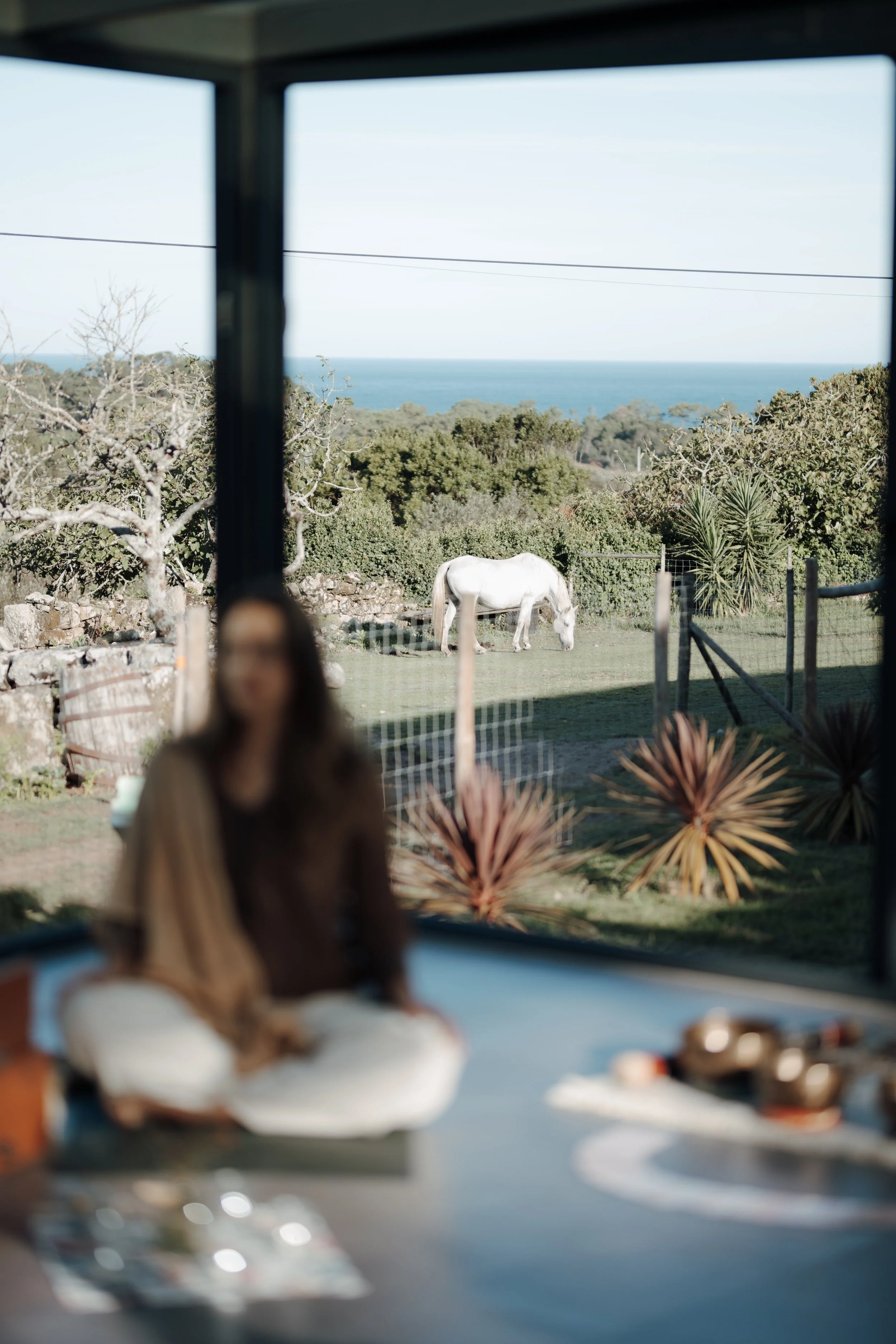 A view from inside a house shows a blurry woman in the foreground, a dining table with food, a backyard with a white horse grazing, lush greenery, a wooden fence, and a distant ocean and sky in the background.