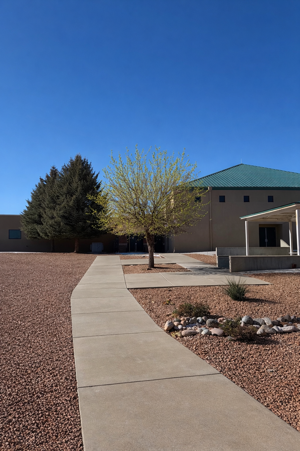 A sidewalk leading to a building with a green roof, flanked by trees and desert landscaping under a clear blue sky.