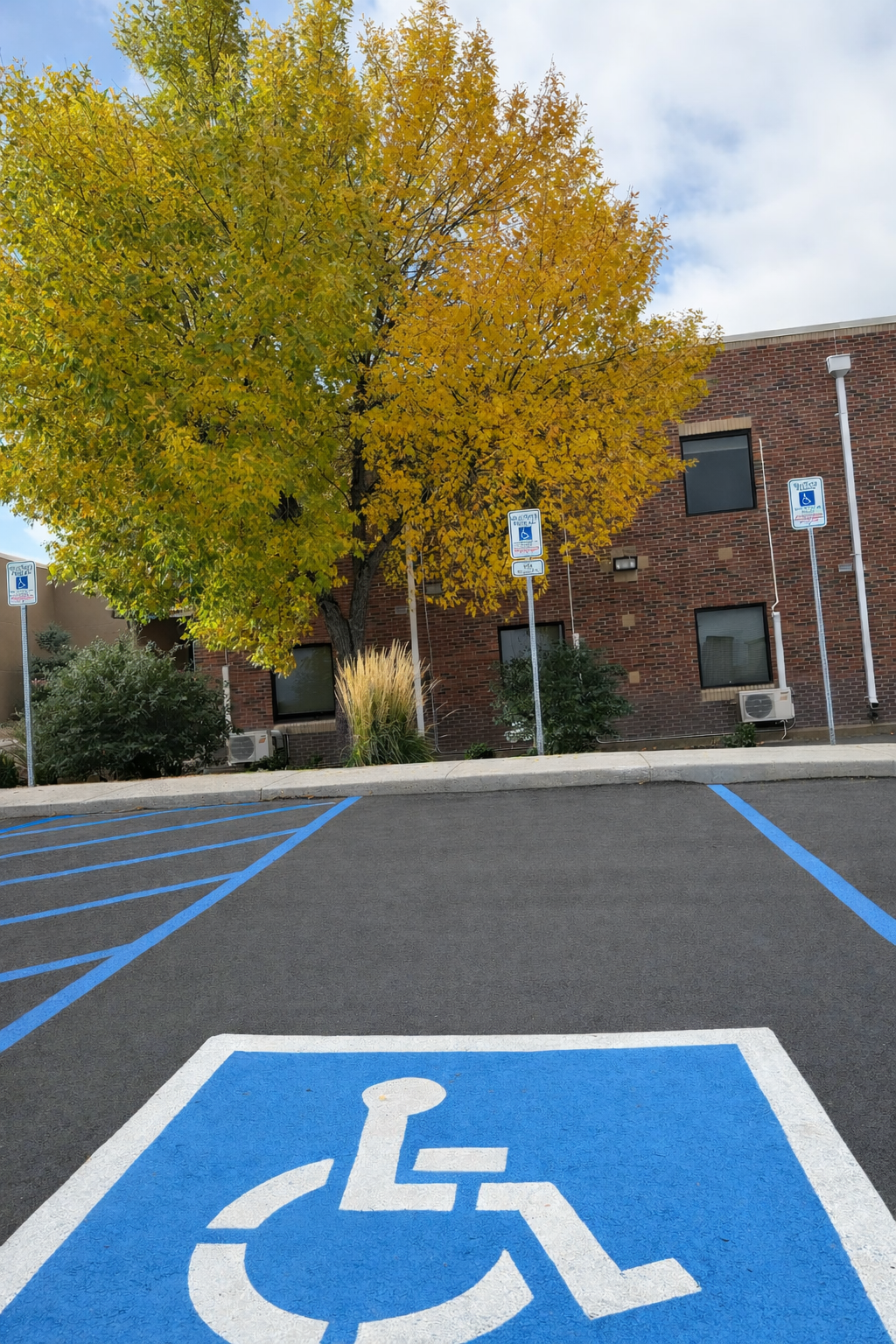 Empty parking space designated for handicapped with blue paint and white wheelchair symbol in a parking lot, with a multicolored tree and brick building in the background.
