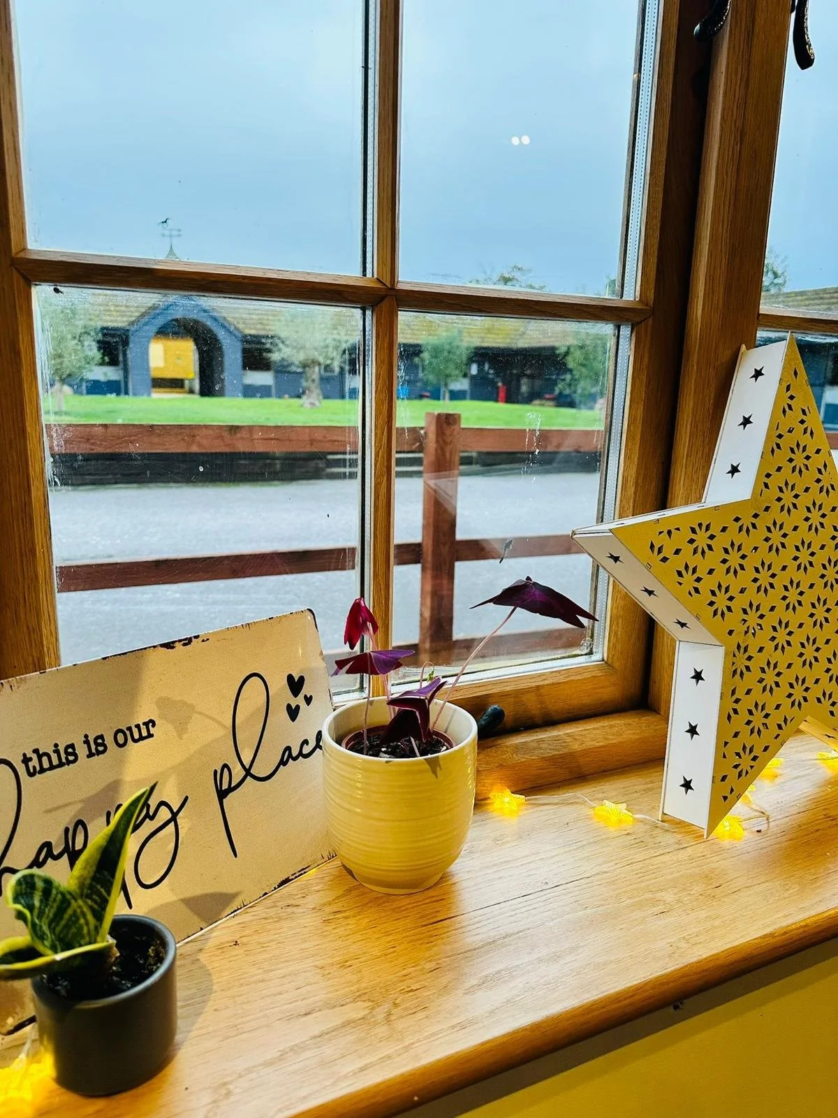 Calm studio window with plants at Berkshire meditation centre