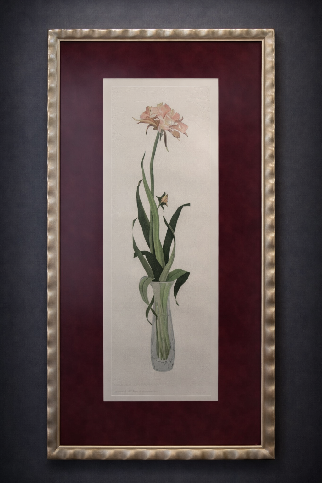 A framed botanical illustration of a pink and white iris flower in a glass vase, mounted on a dark red background.