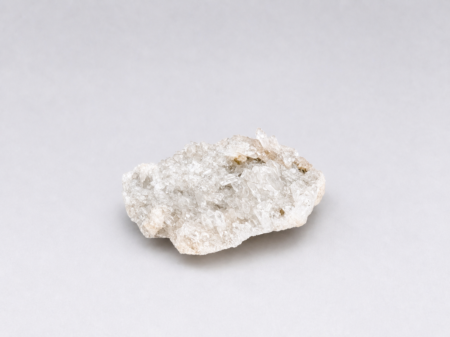 65C3C0AB-9381-4931-A51A-AD3EB8DC1AE9.PNG