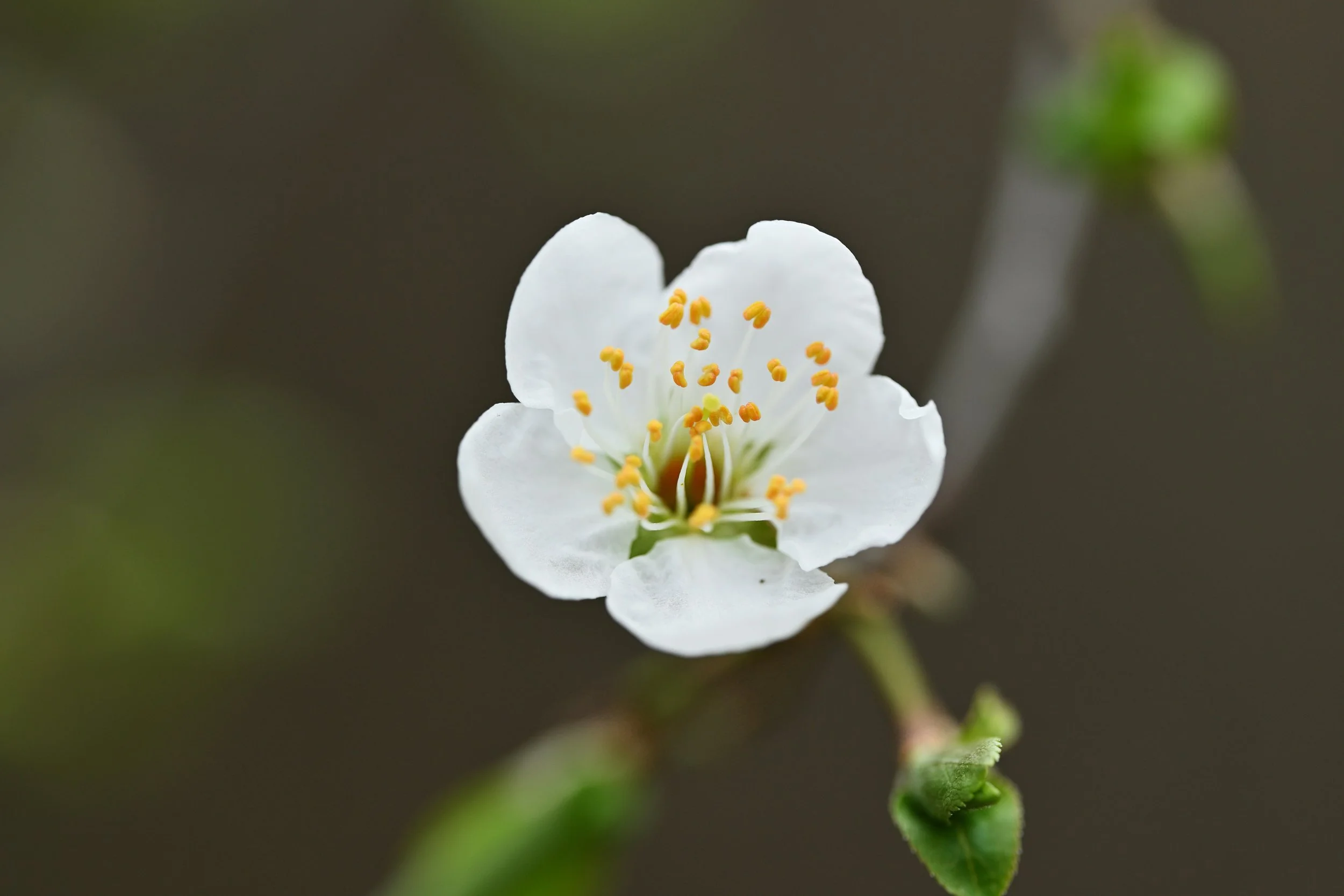 Burnout Isn't About Being Tired. It's About Losing Hope.