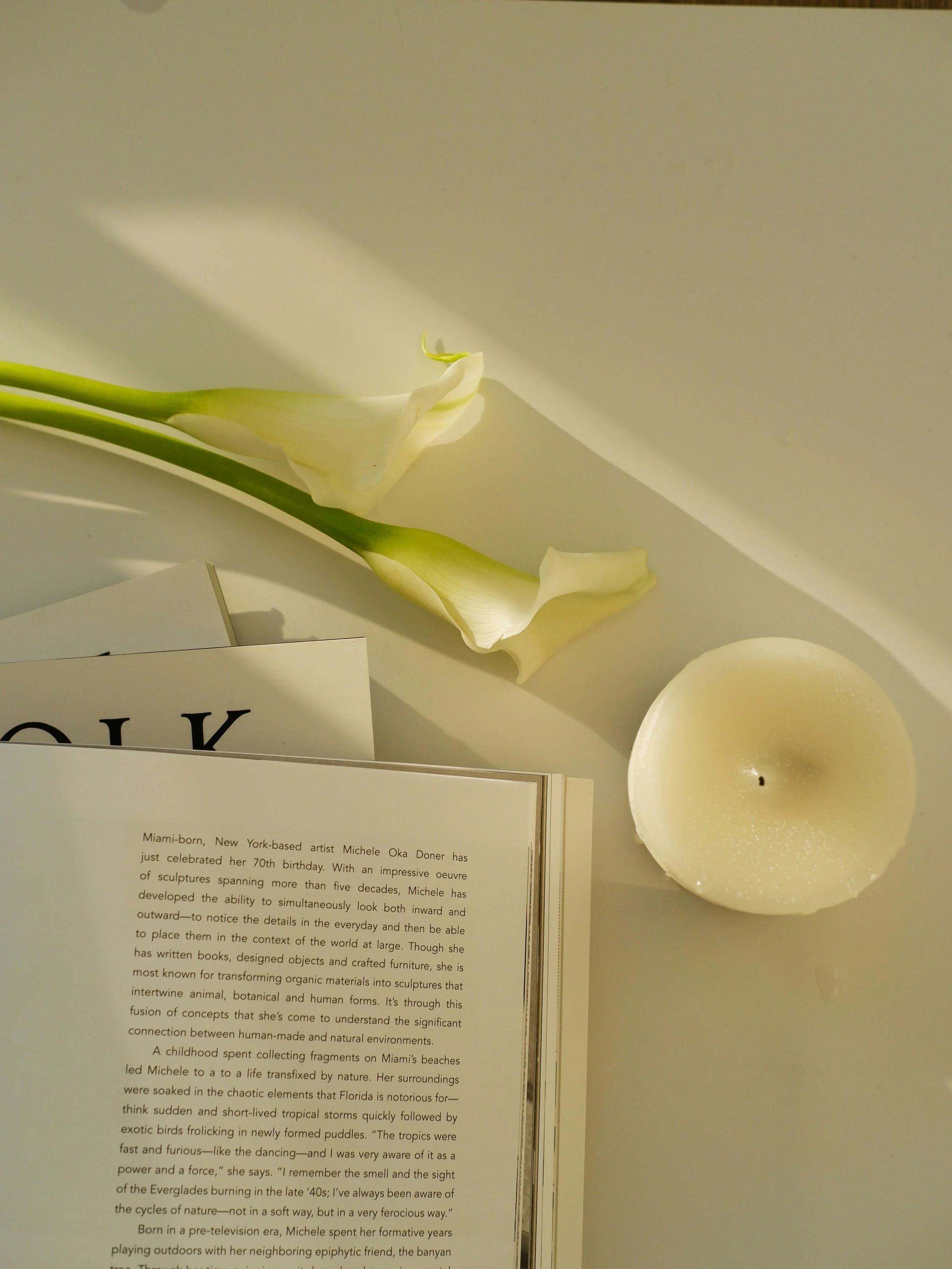 A white candle, white flowers, and a folded page of a book placed on a smooth surface with a shadow cast by the candle.
