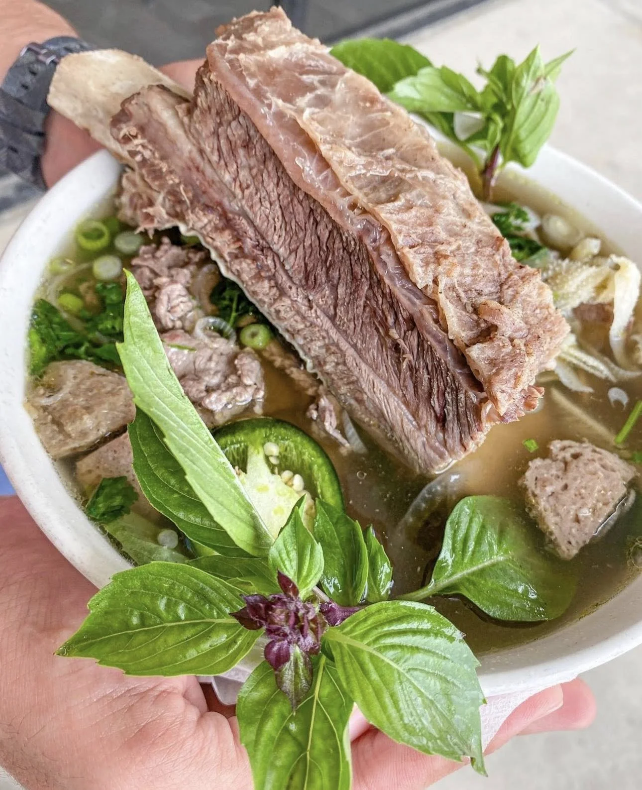 A bowl of beef noodle soup with large beef short ribs, green herbs, sliced jalapeños, and noodles, garnished with fresh basil and green onions.