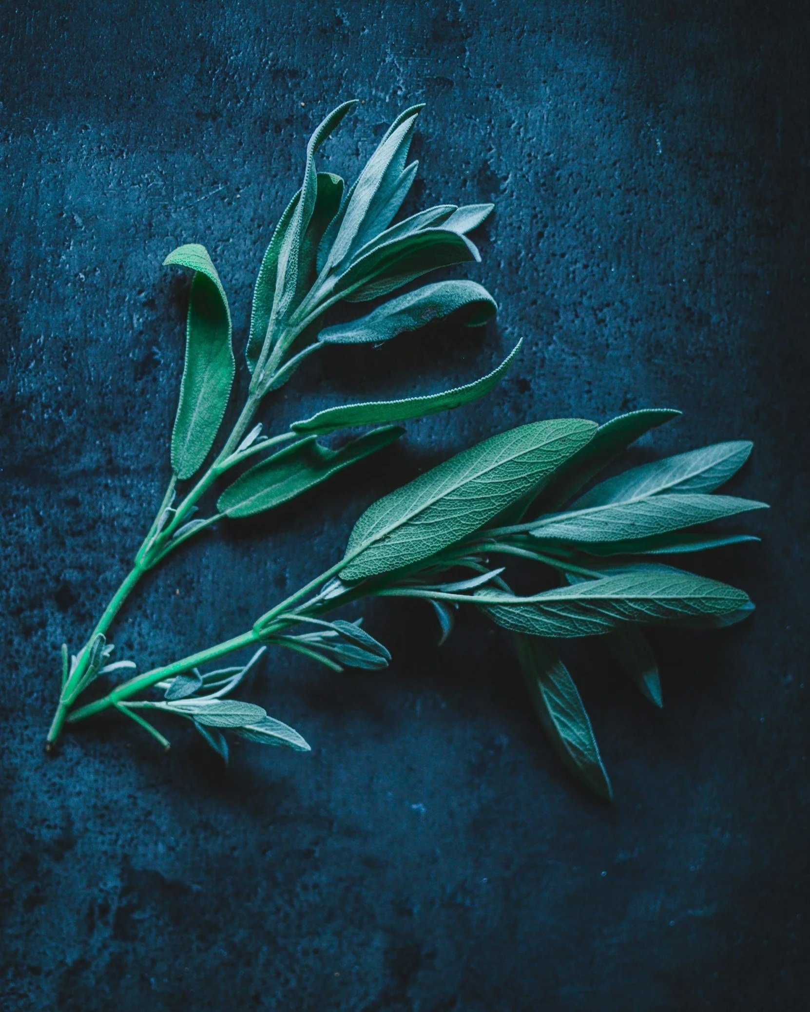 Tier 2 - Most Popular