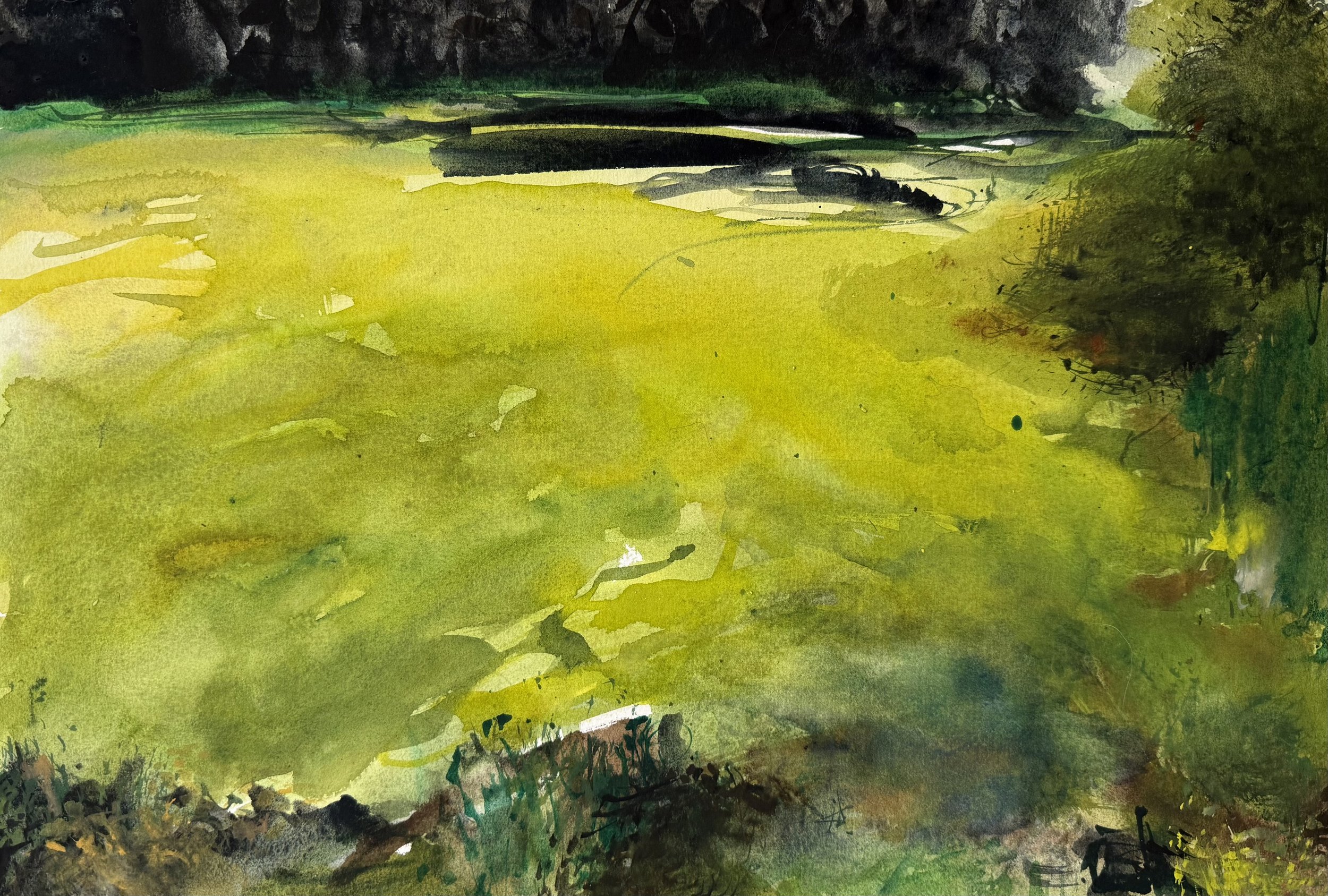 2026 
Watercolor, 13 x 9 in