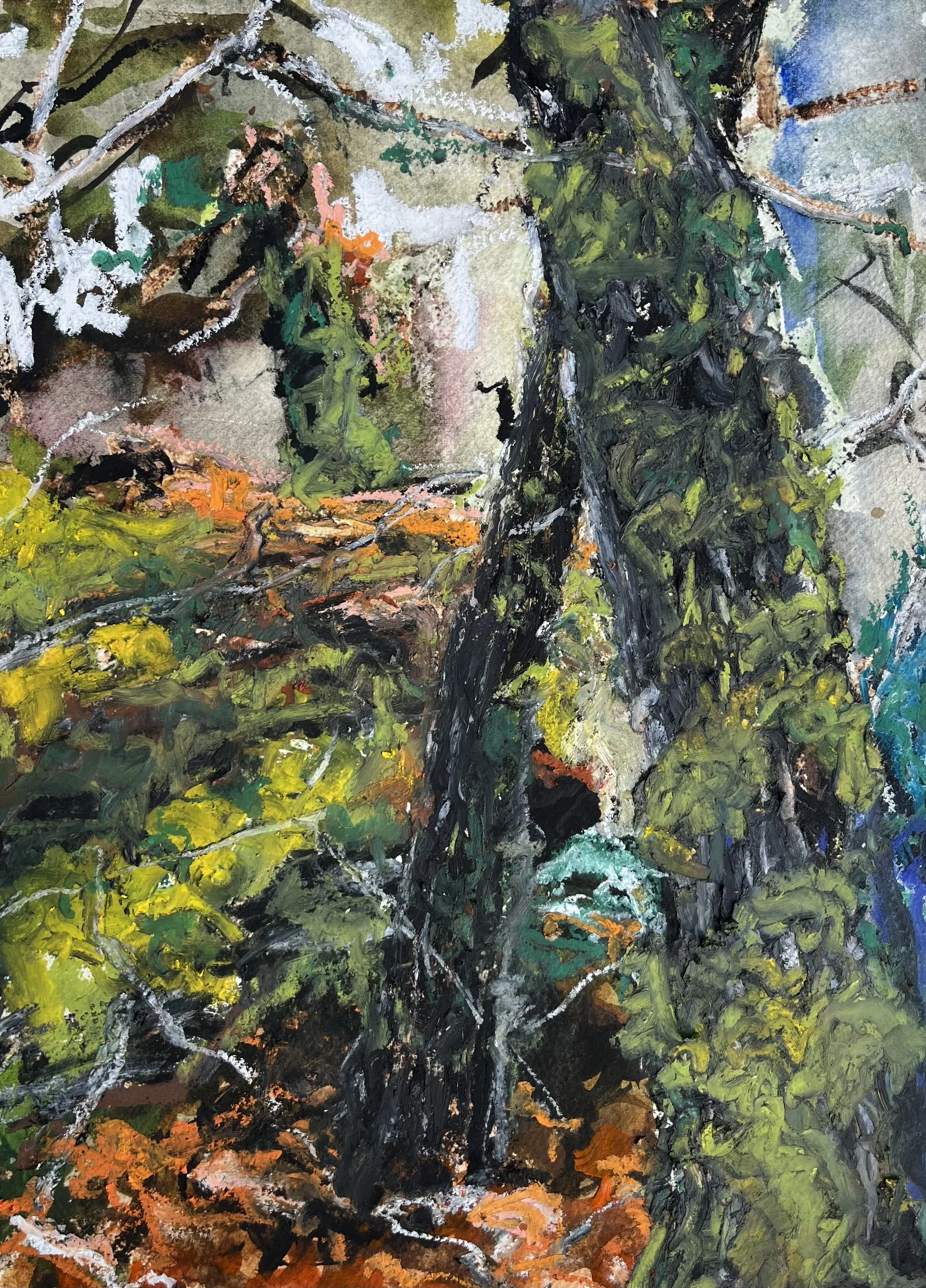 2024
Watercolor, 11 1/4 x 8 in