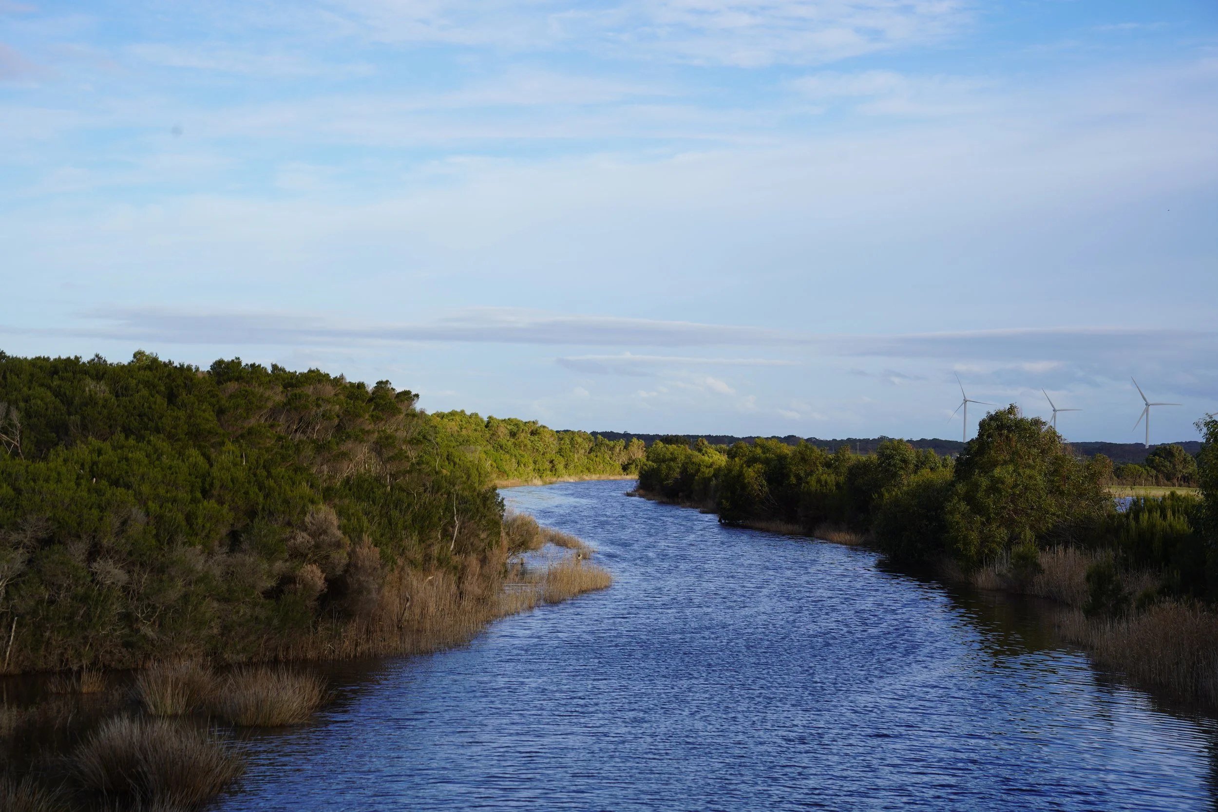A river flowing through a landscape with dense green bush on both sides. In the background, there are wind turbines under a partly cloudy sky.