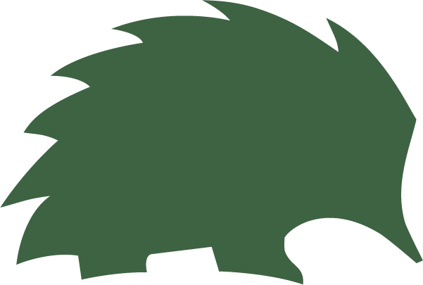 A dark green silhouette of an echidna.