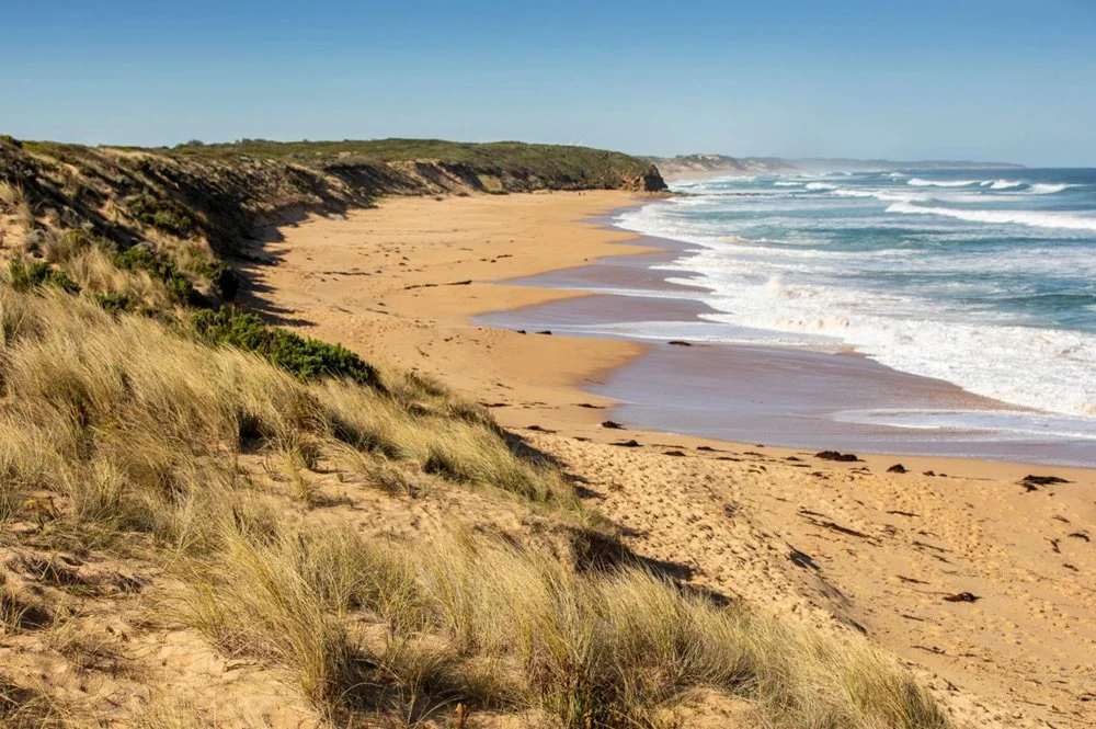 Sandy beach with waves crashing, and grassy dunes in the foreground, coastal cliffs in the background under a clear blue sky.