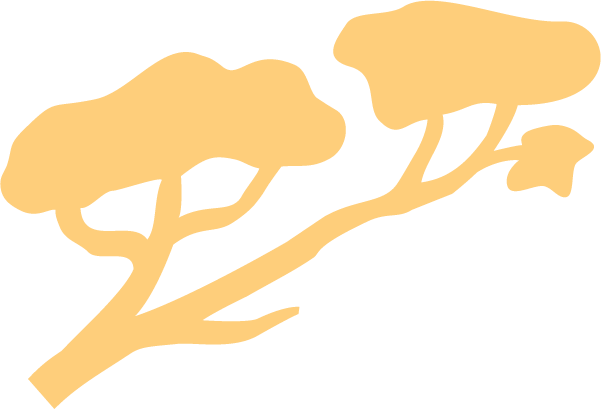 Silhouette of a tree with two large, rounded canopy sections.