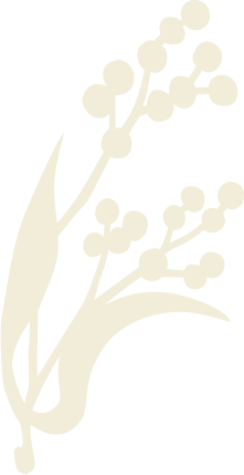 Silhouette of a botanical illustration with grass and small round berries or flowers.