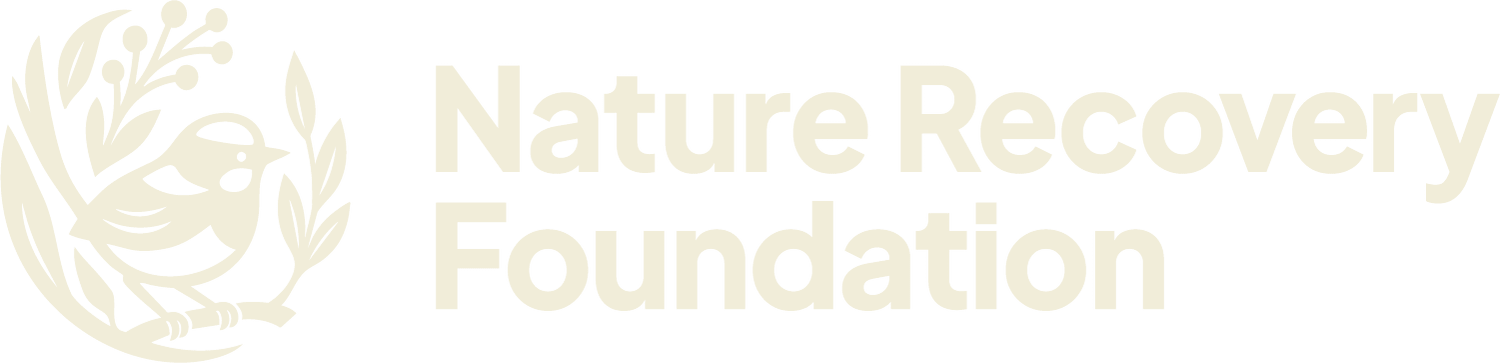 Nature Recovery Foundation &mdash; Strategic philanthropy meets environmental stewardship.