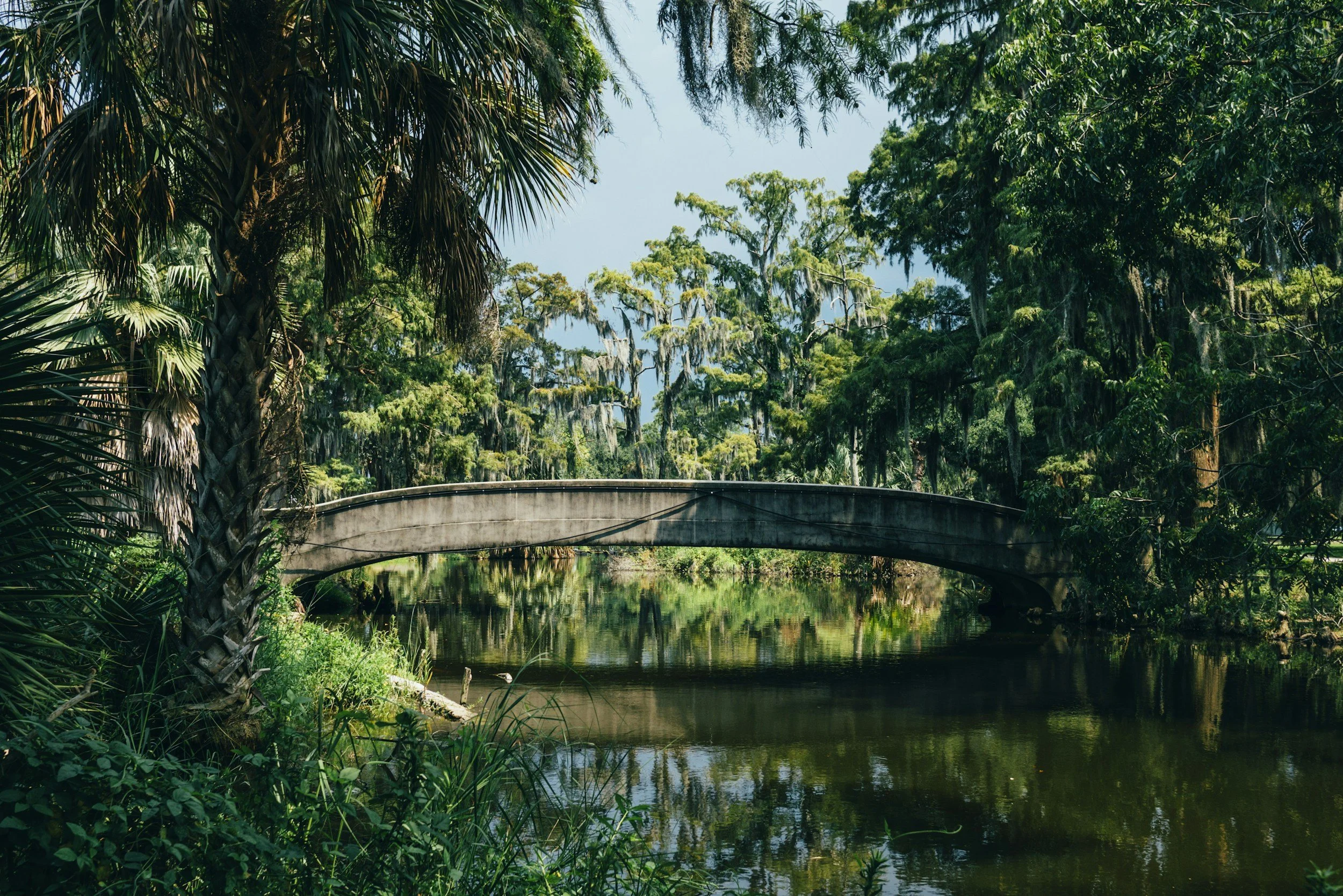 A lush green forest with tall trees and moss hanging from the branches, a small bridge over a river, and a clear blue sky.