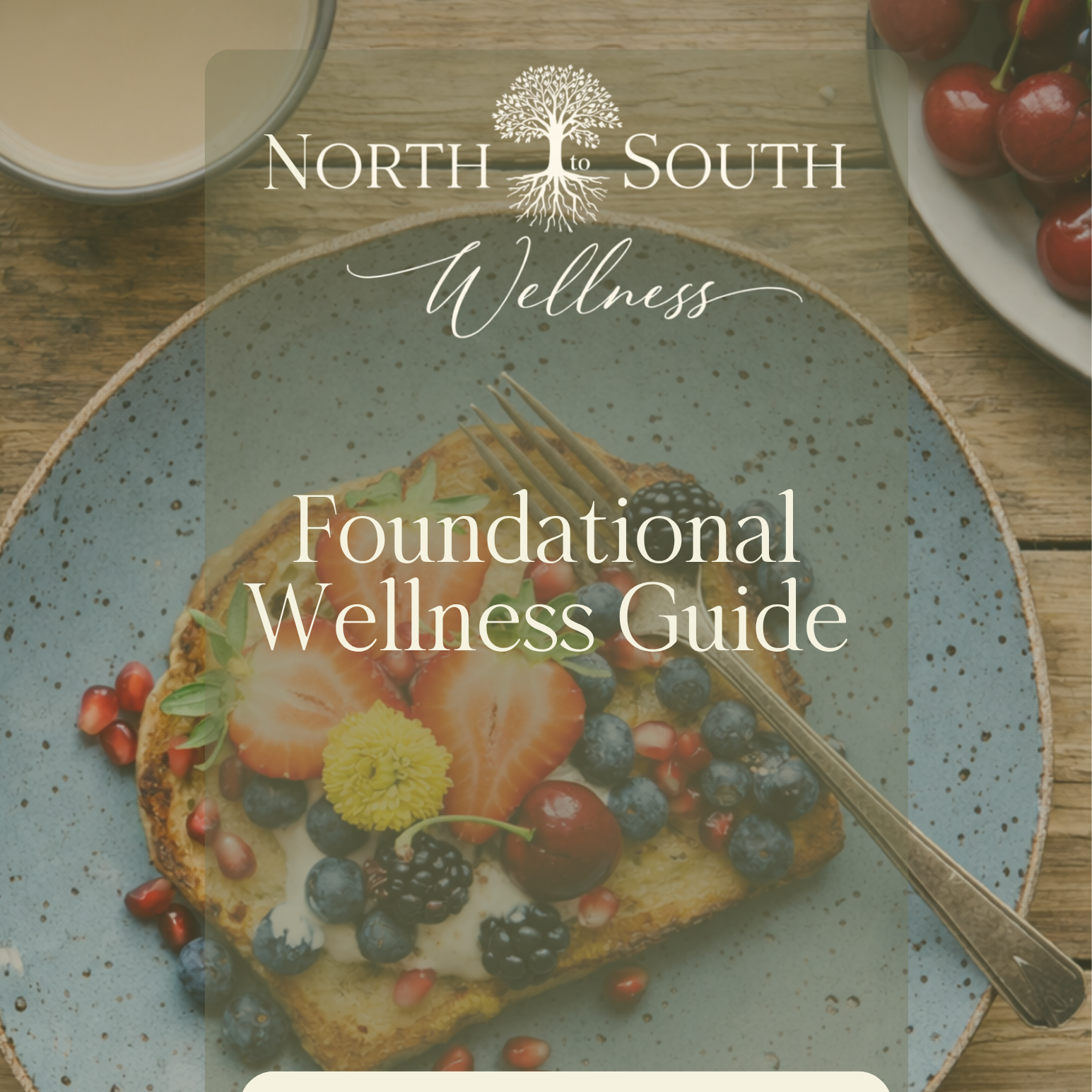 NSW+Health+%26+Wellness+Guide-+COVER.png