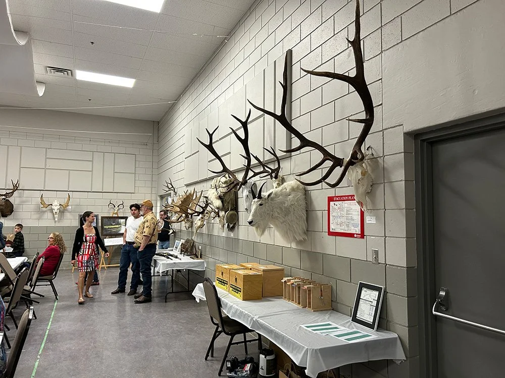 Museum display of mounted animal heads and antlers on a brick wall, with a table of informational materials in front.